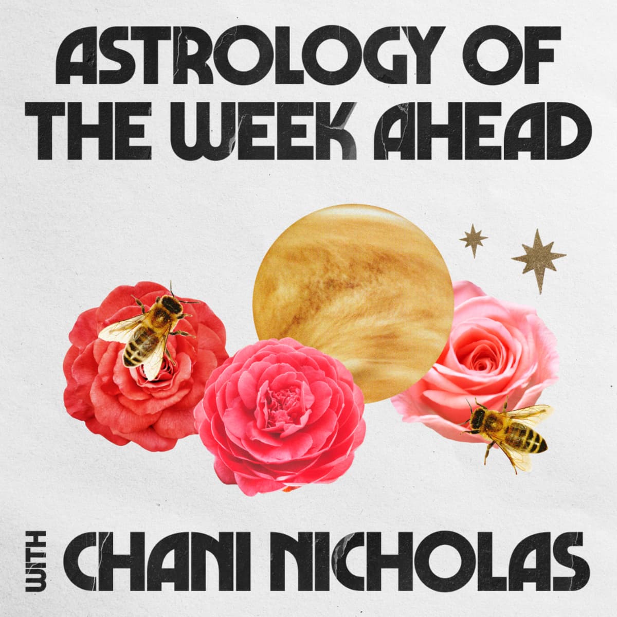 The Week of September 22nd, 2025: A strategic start to Libra season - Astrology of the Week Ahead with Chani Nicholas cover