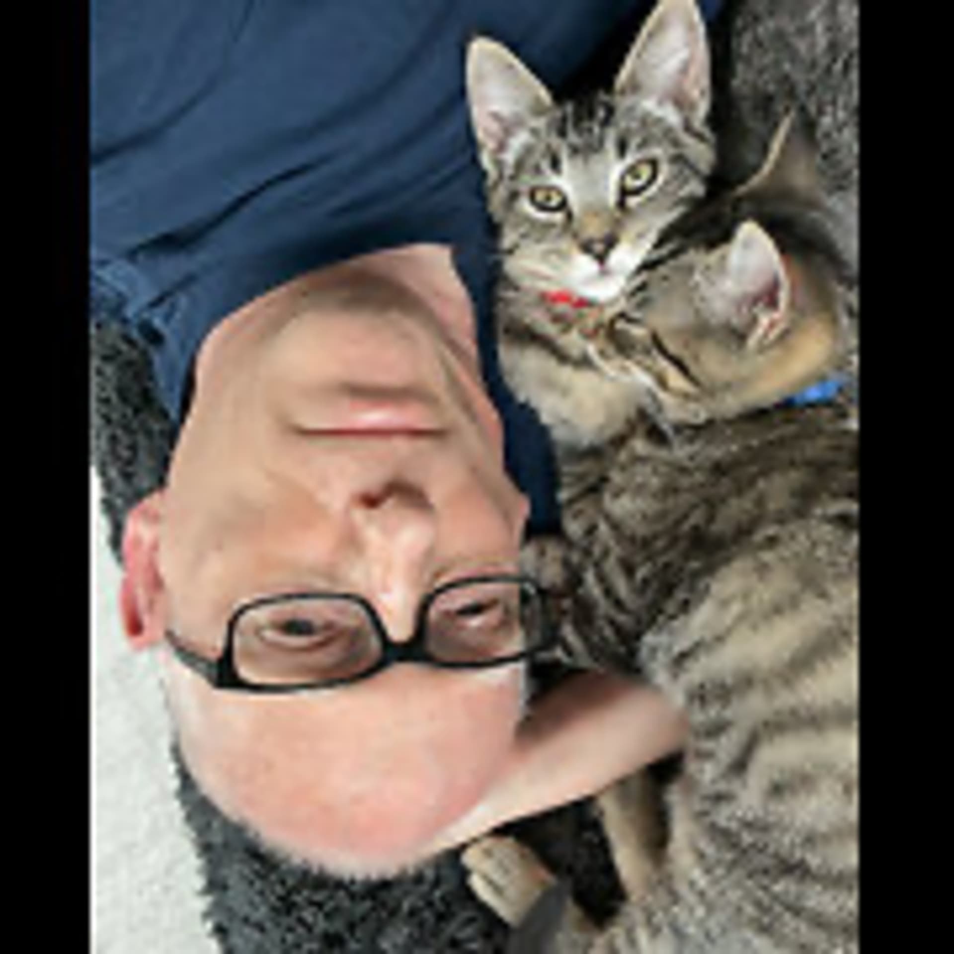 Episode 2930 CWSA 08/17/25 - Real Coffee with Scott Adams cover