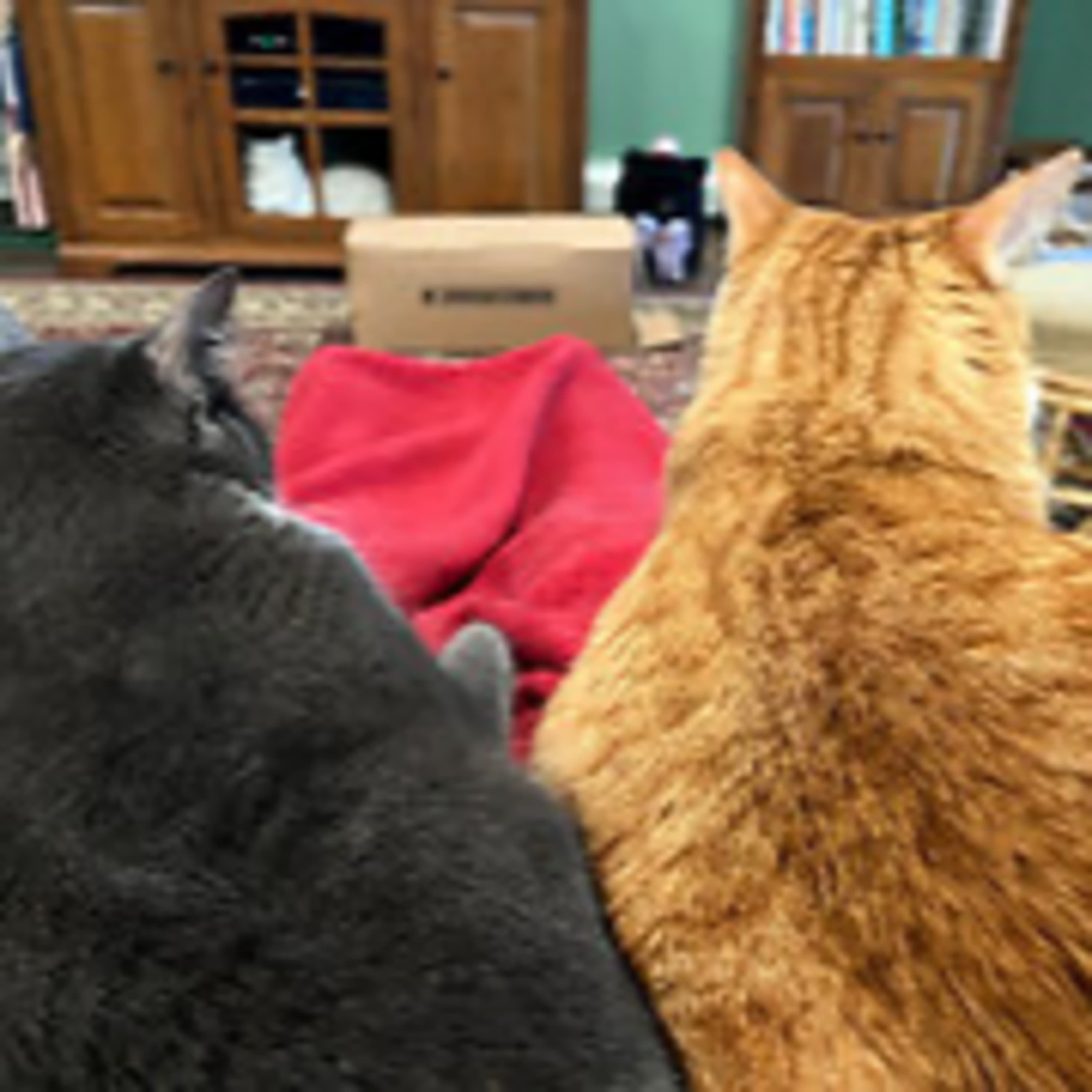 Episode 2958 CWSA 09/14/25 - Real Coffee with Scott Adams cover