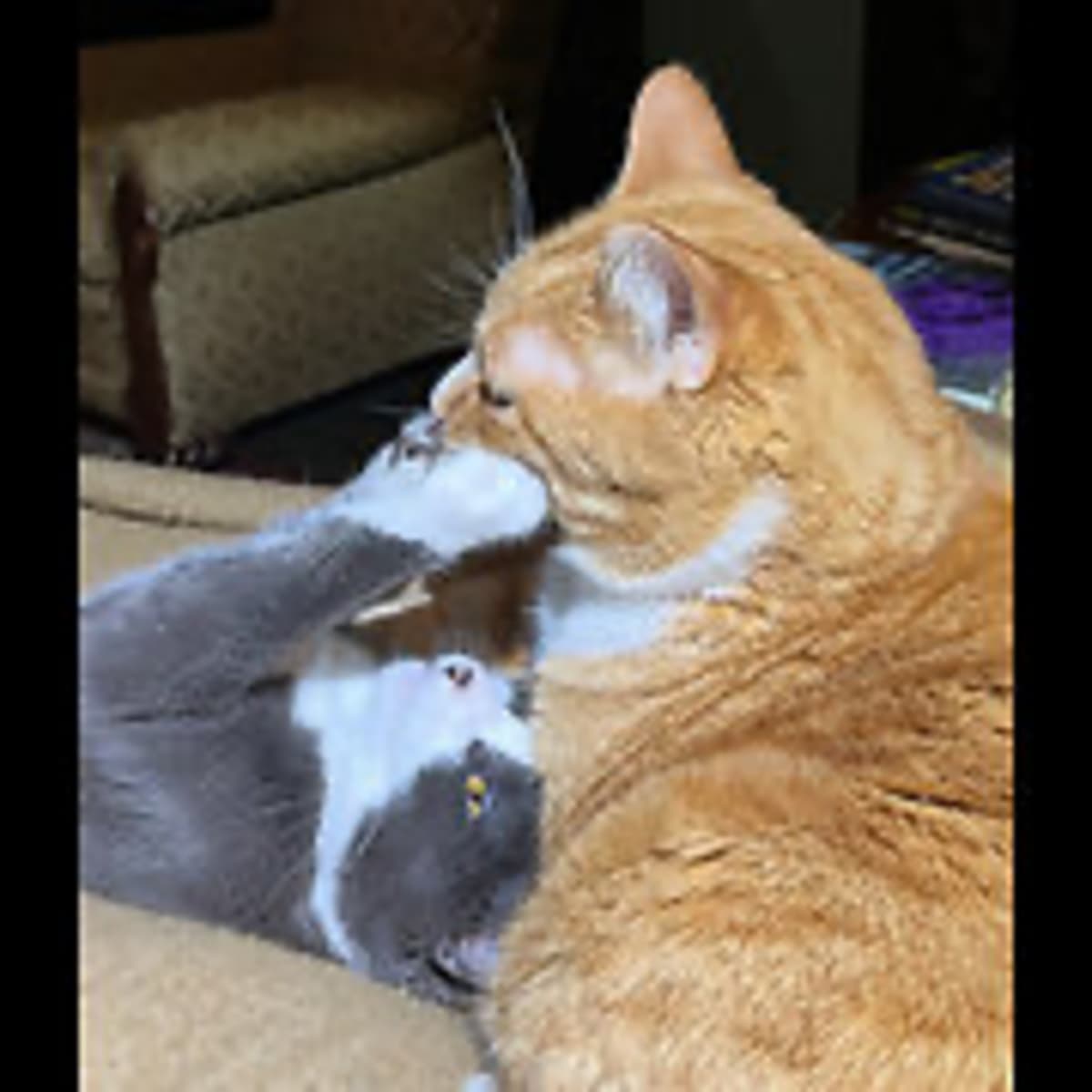 Episode 2973 CWSA 09/29/25 - Real Coffee with Scott Adams cover