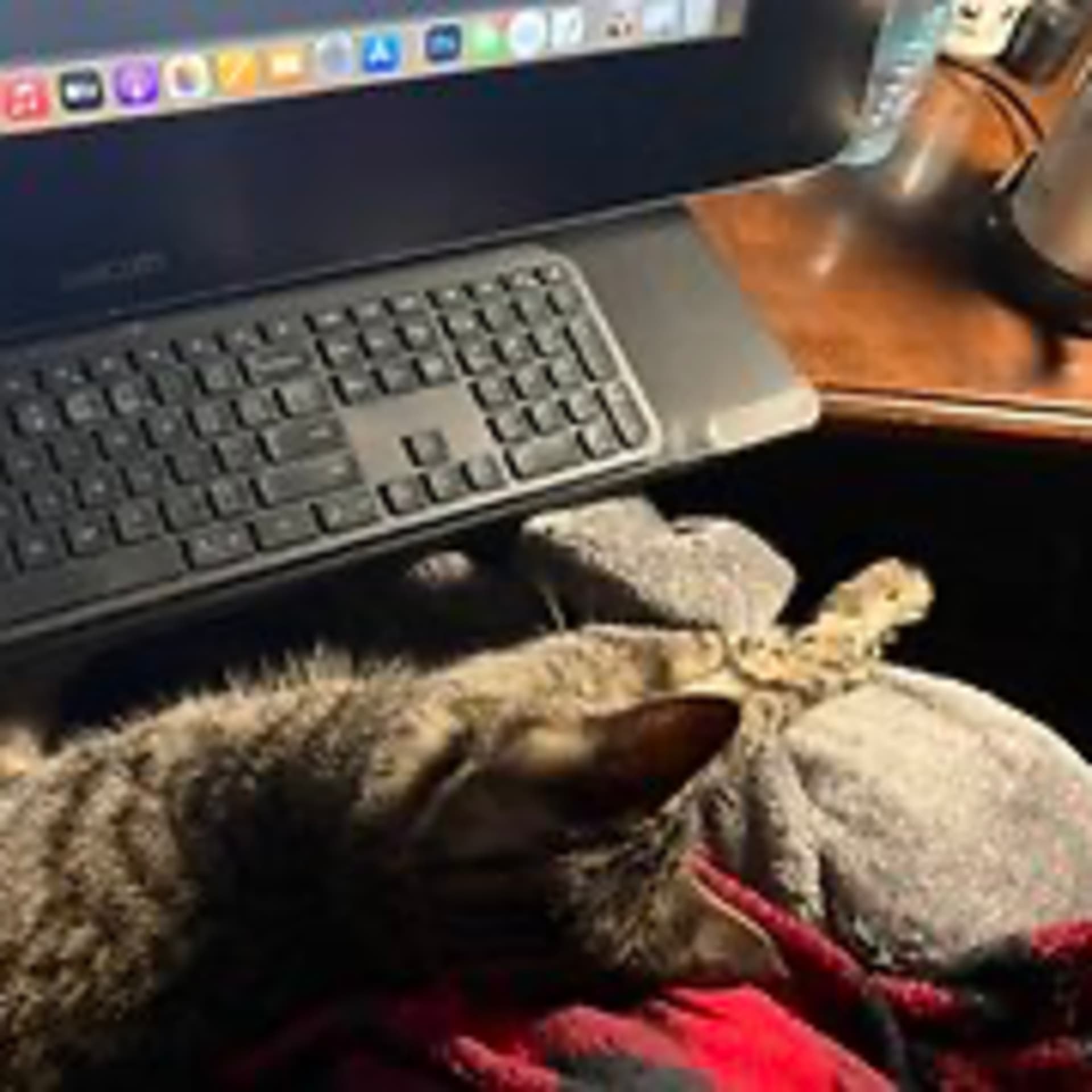 Episode 2996 CWSA 10/22/25 - Real Coffee with Scott Adams cover