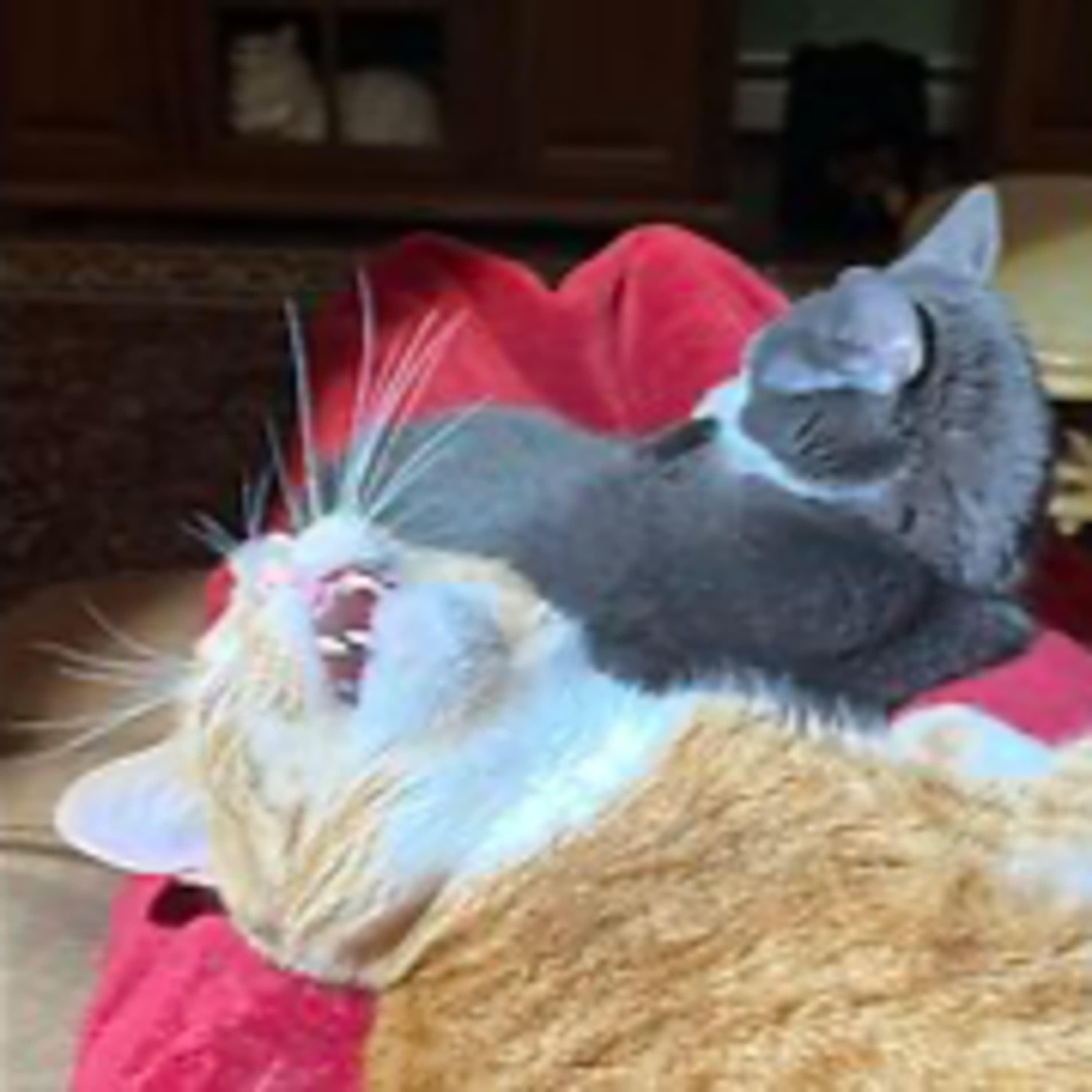 Episode 3027 CWSA 11/23/25 - Real Coffee with Scott Adams cover