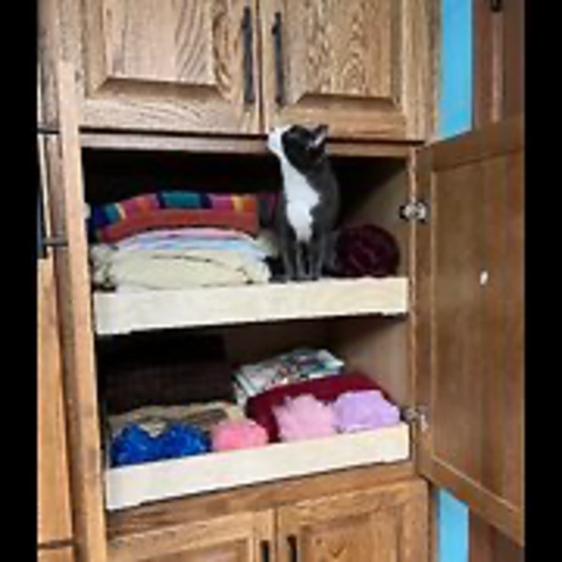 Episode 3041 CWSA 12/09/25 - Real Coffee with Scott Adams cover