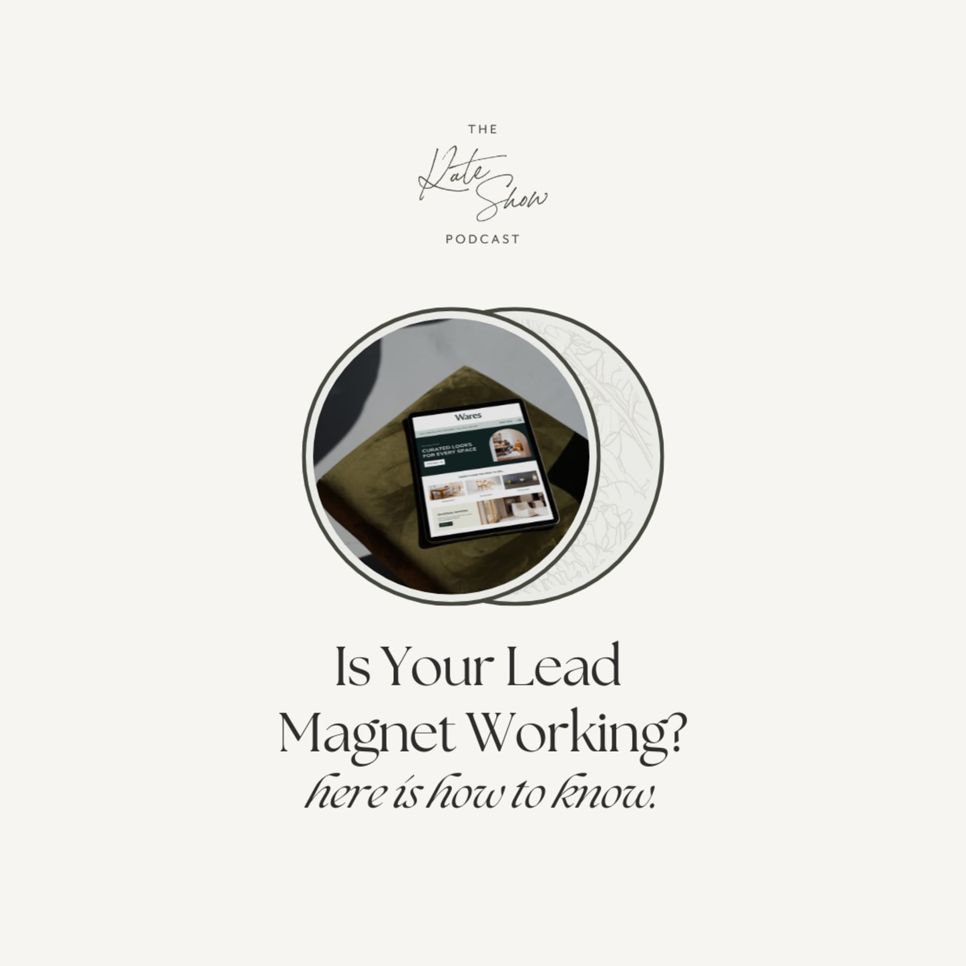 Is Your Lead Magnet Working? Here's how to know - The Kate Show cover