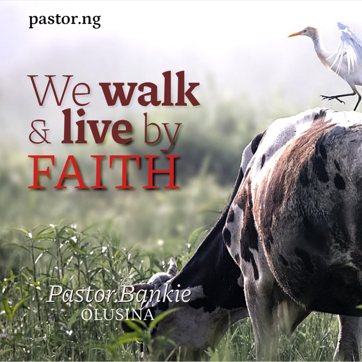 We Walk and Live by Faith-04 (Faith and discipleship) - Pastor Bankie in 10 cover