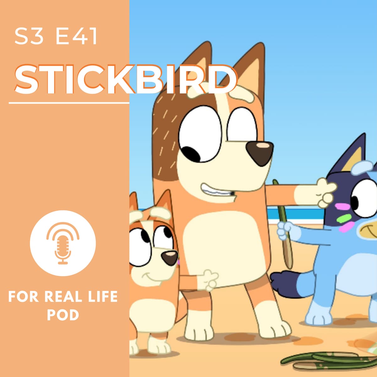 Stickbird - For Real Life Pod - Bluey Podcast cover
