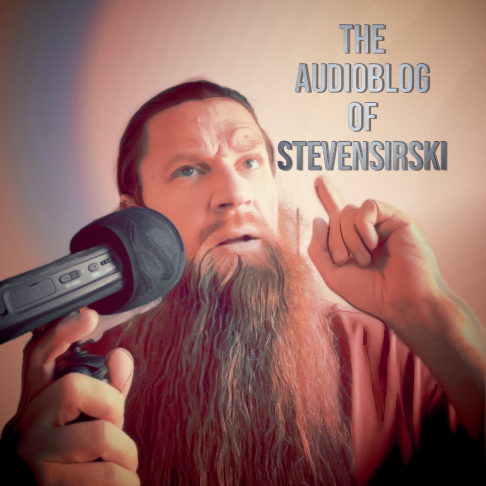 The Audio Blog of Steven Sirski cover