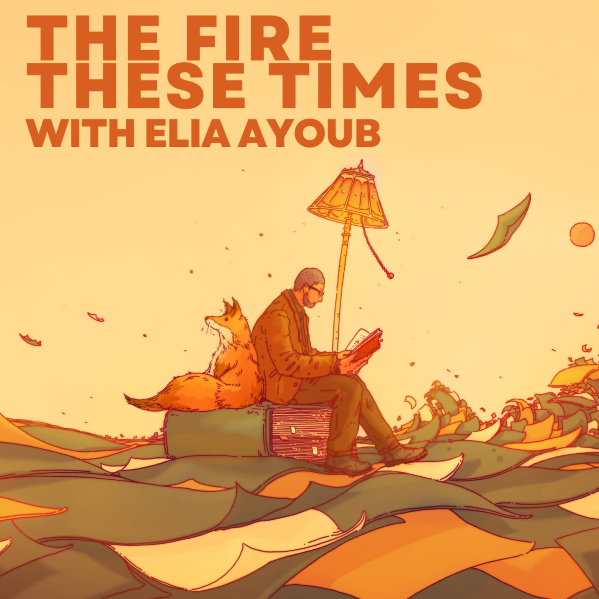 The Fire These Times cover