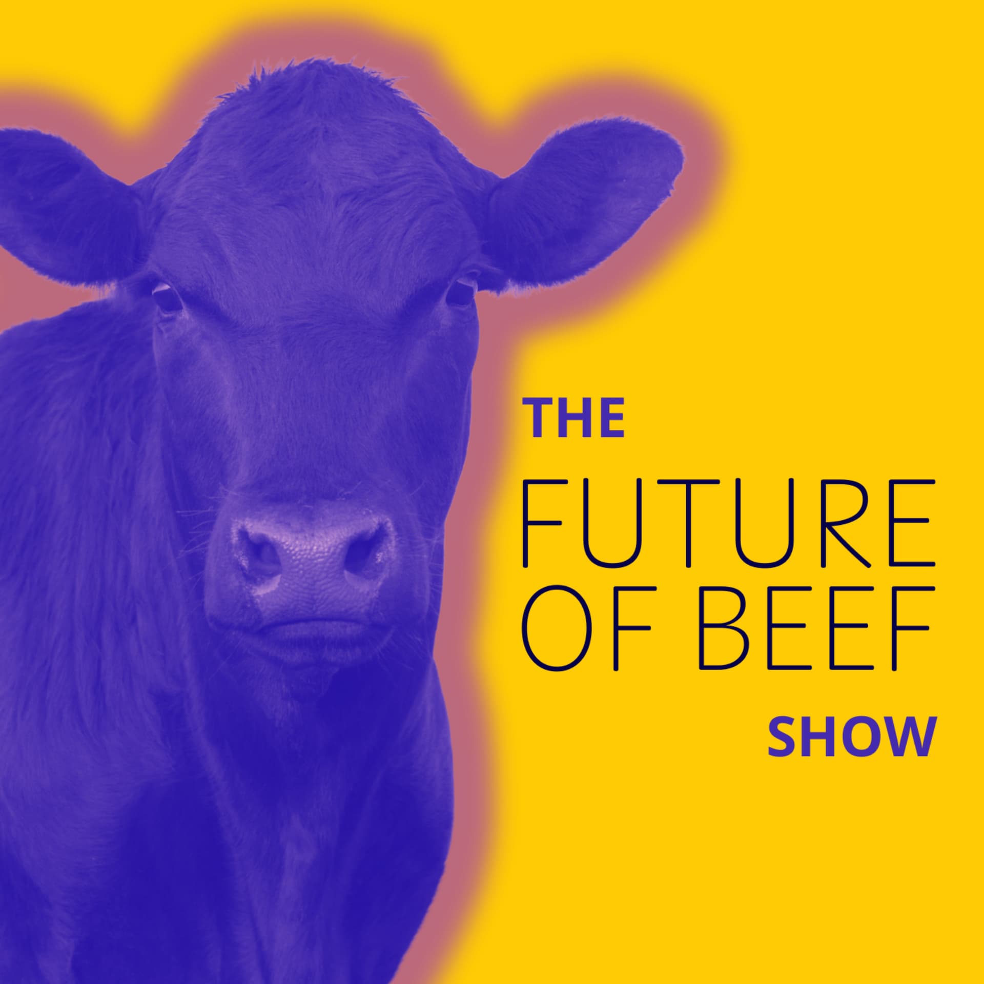 The Future of Beef Show cover