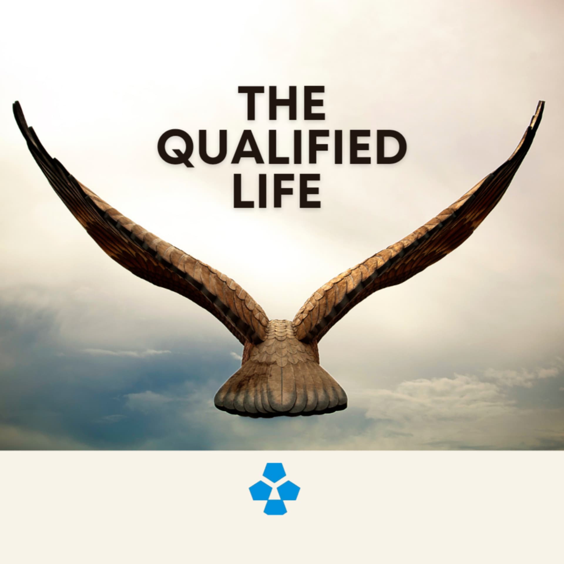 The Qualified Life cover