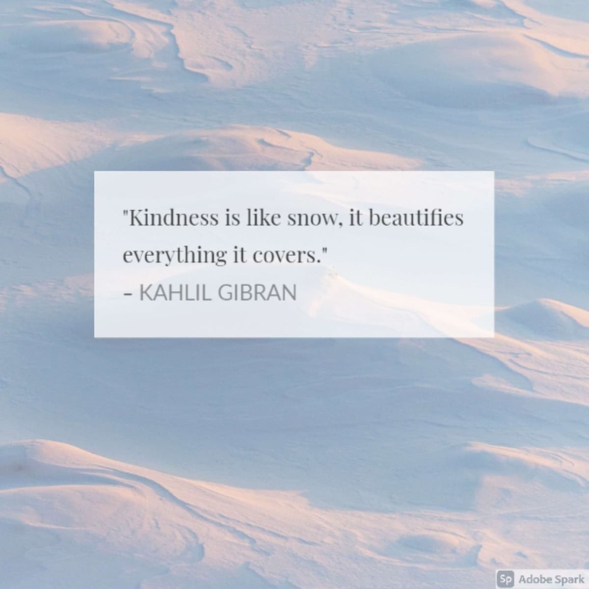 Digital Marketing Course - Annie's Podcast cover