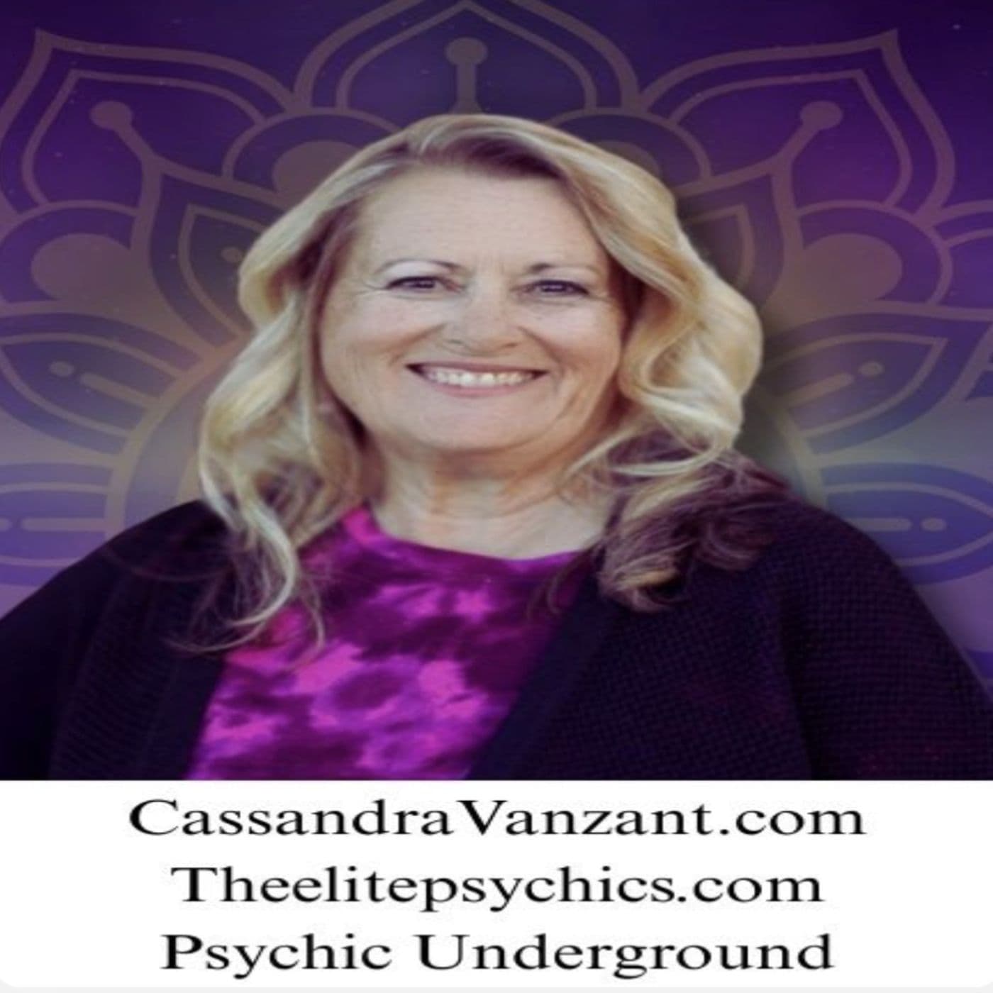 Cassandra VanZant| A Bridge Over Troubled Waters: Finding Clarity in Uncertain Times | Cassandra VanZant - Meta Mystics cover