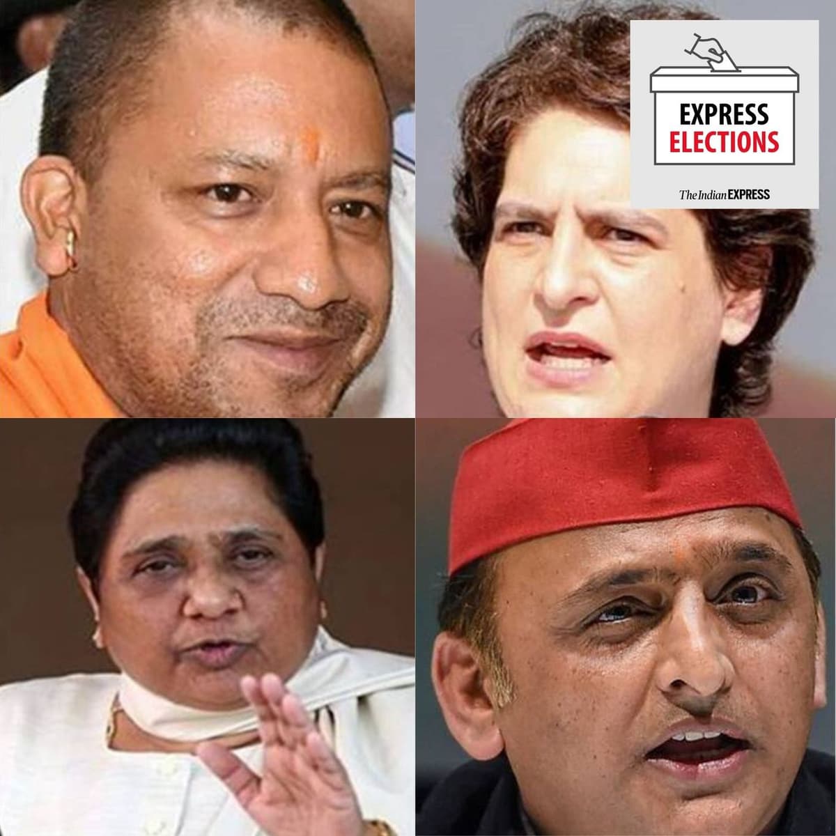 The problem of stray cattle: UP Election Special – Part 4 - Express Elections cover