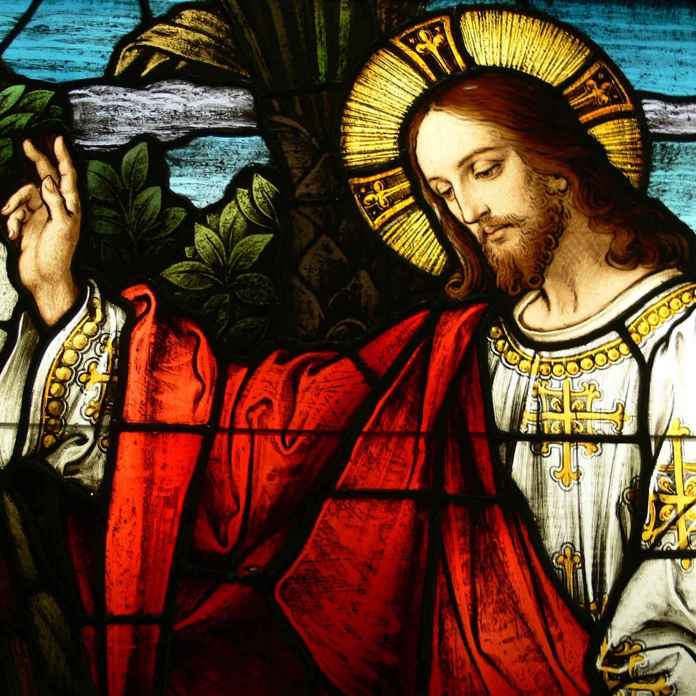 Ascension of Our Lord (Year A) - Evangelizing All Nations — Catholic Daily Reflections cover