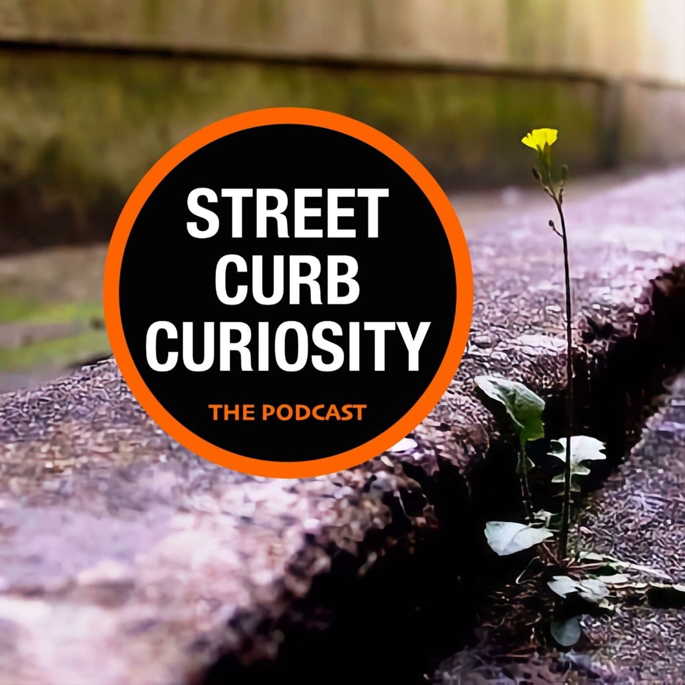 Do you turn off the lights? - Street Curb Curiosity cover