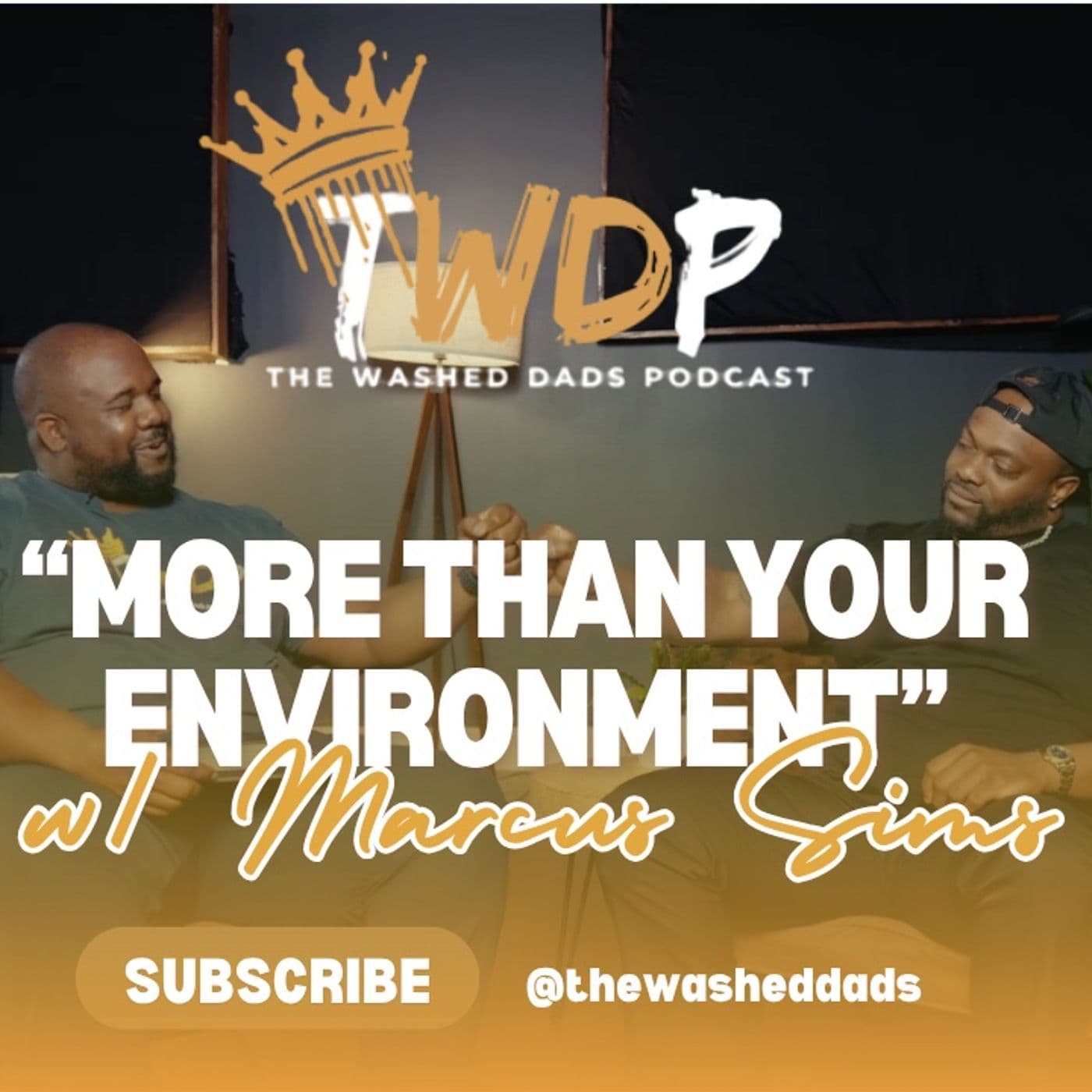 S3E3 More Than Your Environment - The Washed Dads Podcast cover