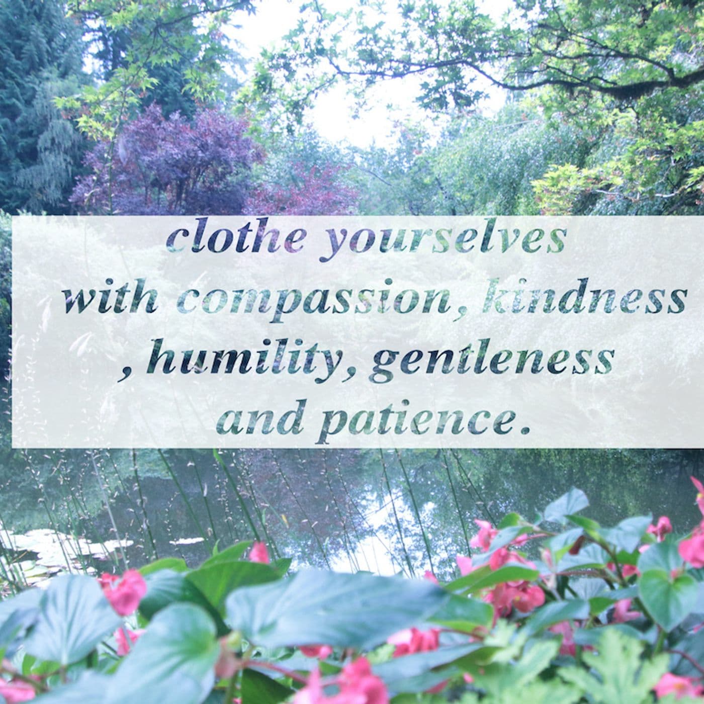 clothe yourselves with compassion, kindness, humility, gentleness and patience. - Faith Love Trust cover