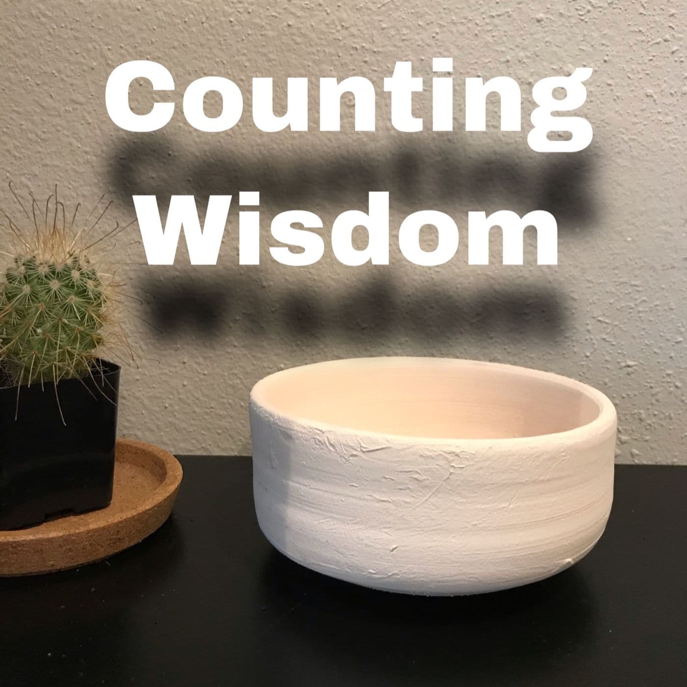 Counting Wisdom cover