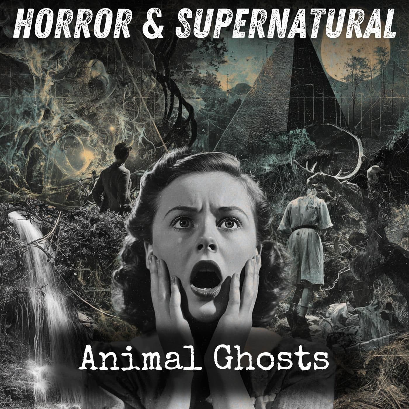 14 - Animal Ghosts by Elliott O'Donnell - Animal Ghosts cover