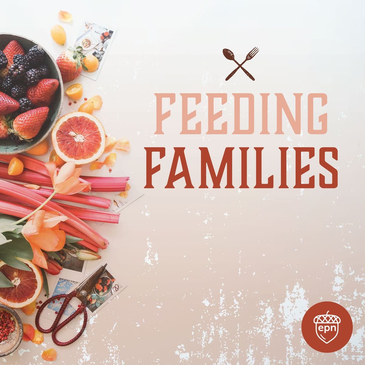 EP#22: Picky Eating - Roots & Resolutions with Elissa Arnheim - Feeding Families cover