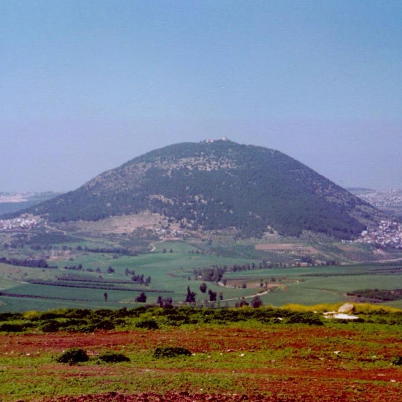 La luce del Tabor - OH MY GOD! cover