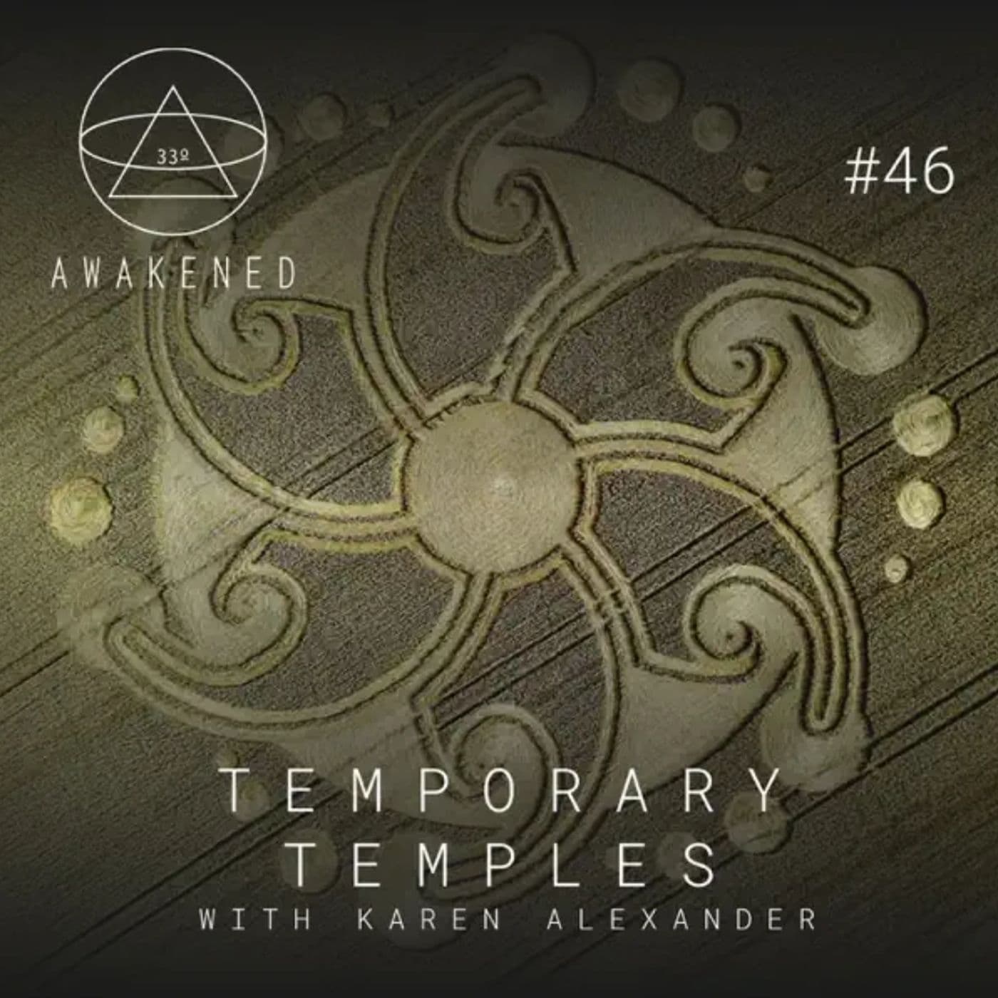 SUNDAY SHARE: Temporary Temples: Crop Circles, Stone Circles, Ancient Geometry, & Non-Human Intelligence w/ Karen Alexander - Nephilim Death Squad cover