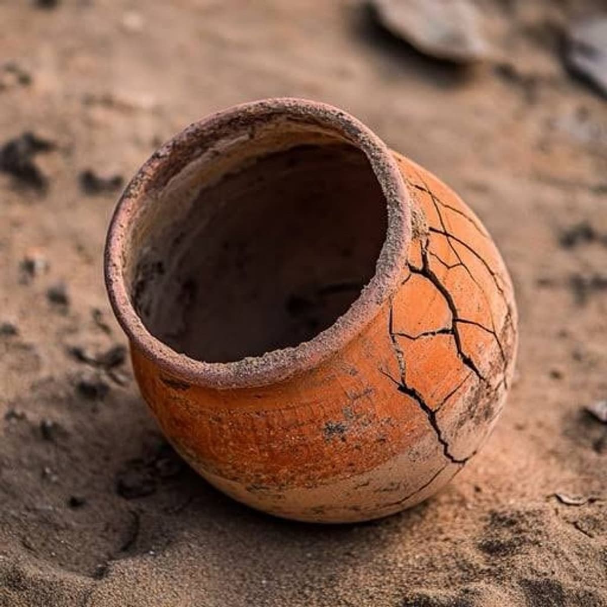 La brocca rotta - OH MY GOD! cover