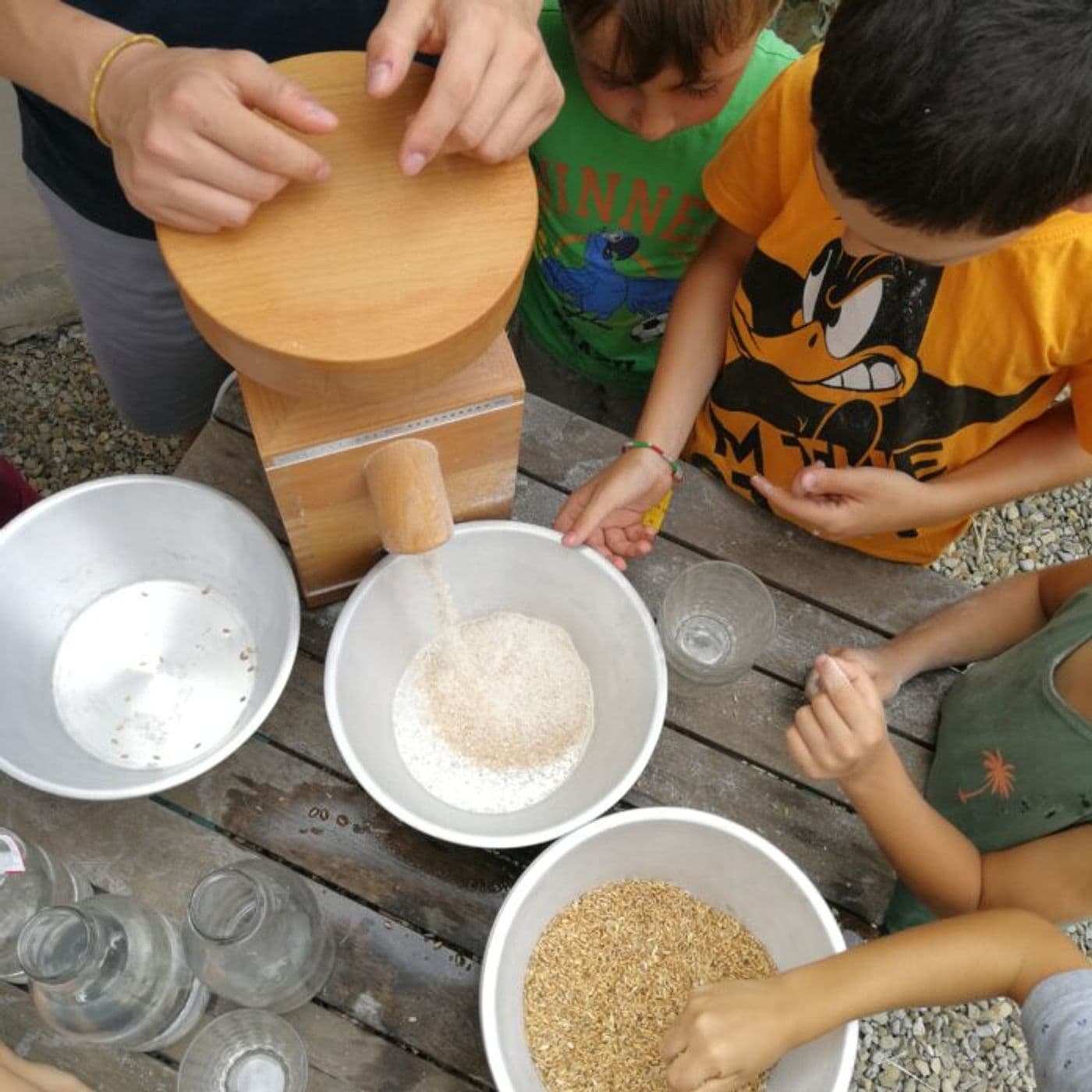 Le popolazioni evolutive come risposta ai cambiamenti climatici - Cereali Resilienti. cover