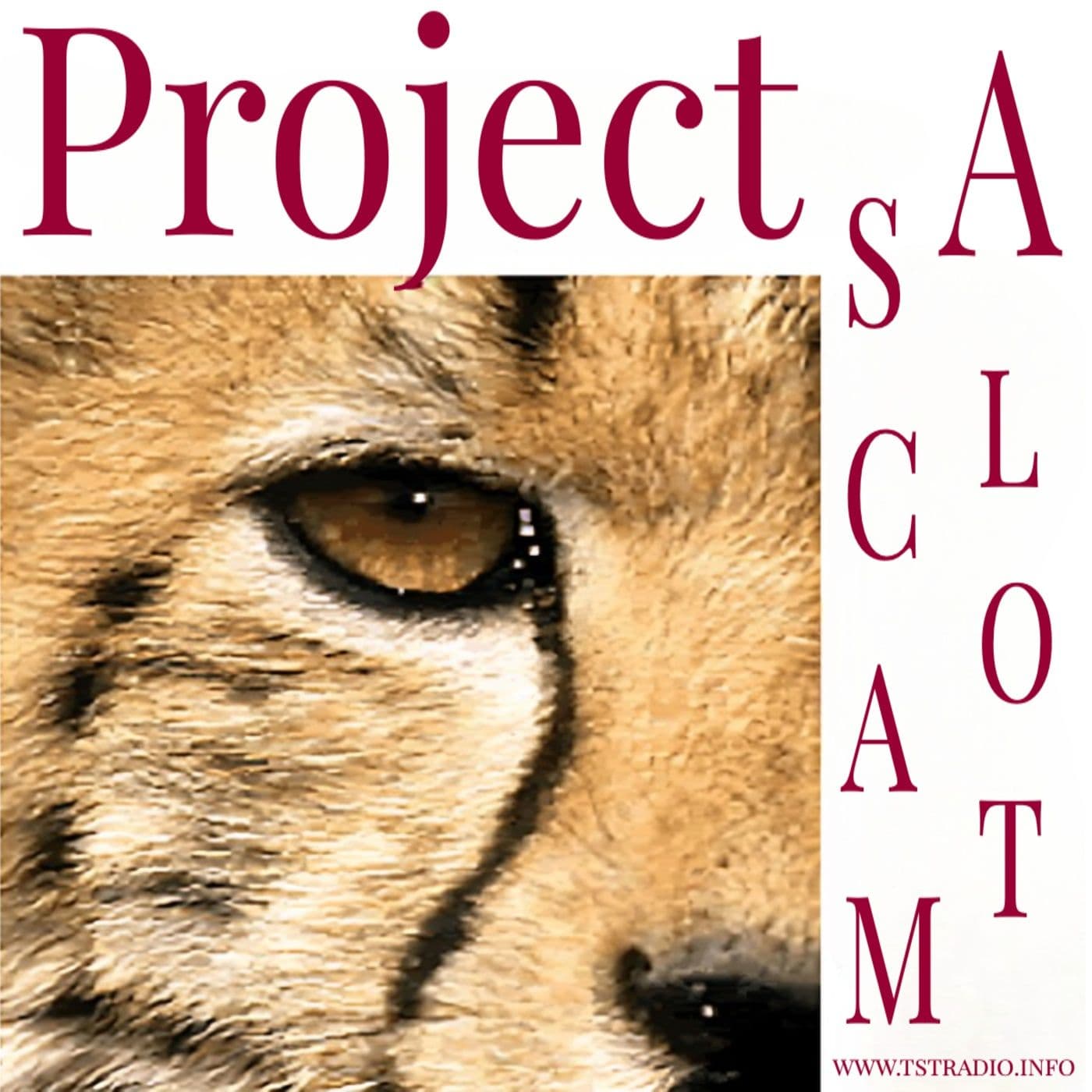 Project Scam A Lot: Reptilians, Stargates & Psychosis (March 18, 2026) — The Secret Teachings cover