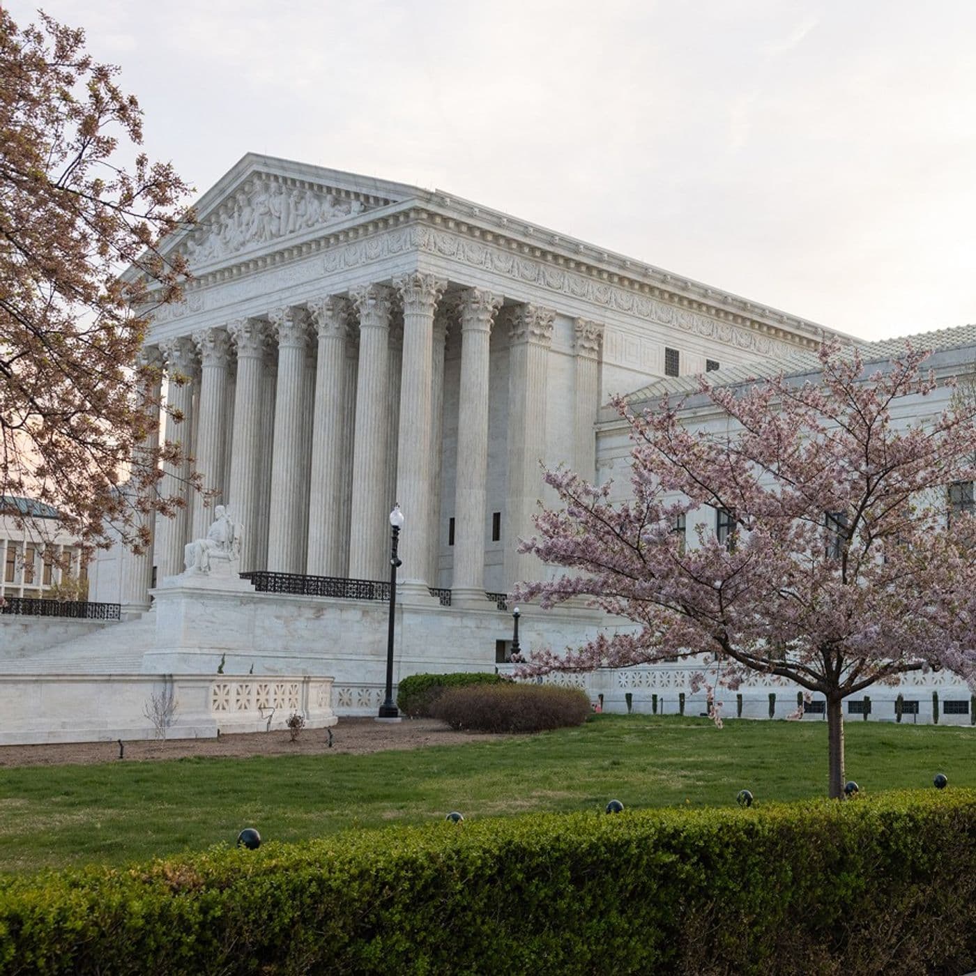 The Supreme Court Takes On Birthright Citizenship - Deborah Lebree's podcast cover