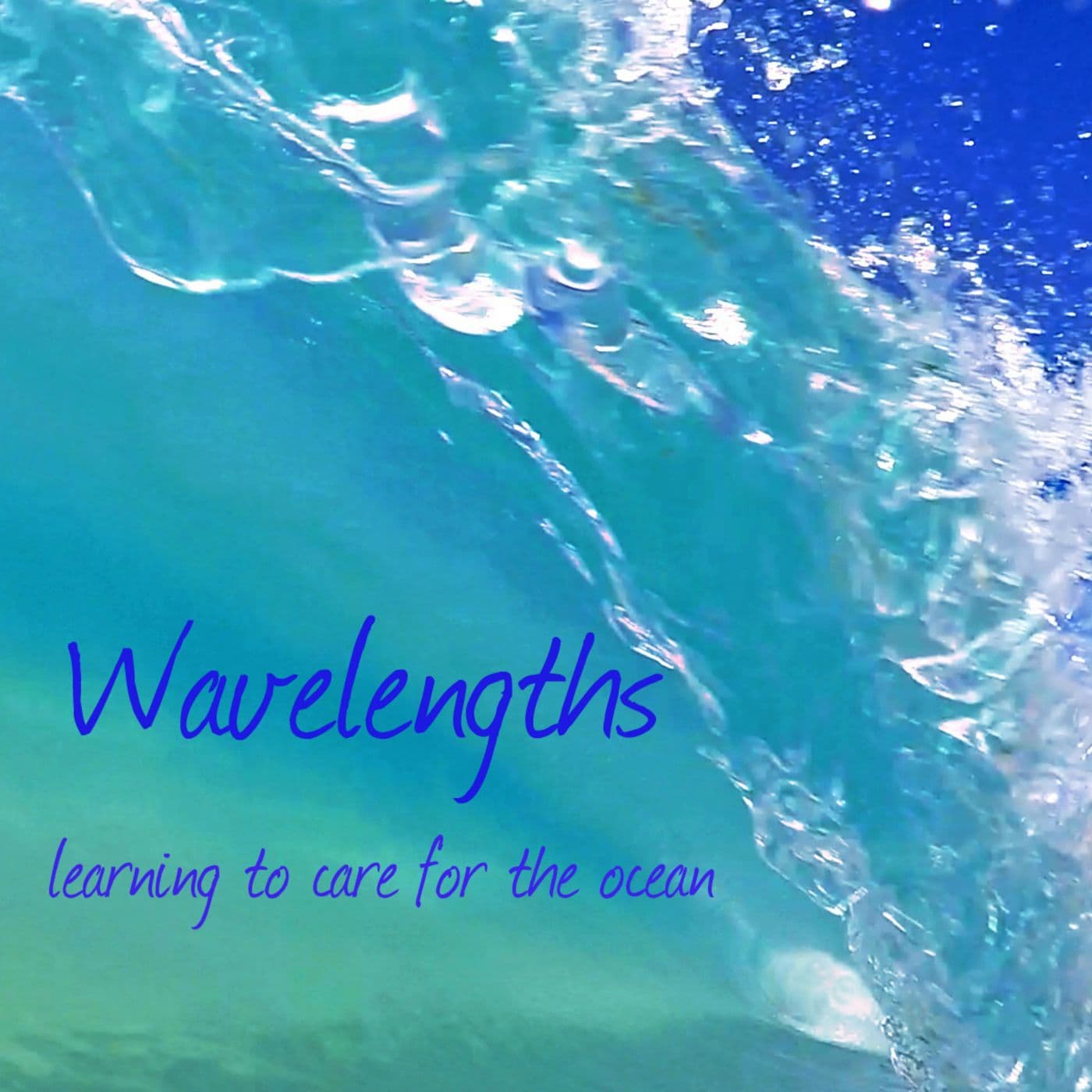 Plastics in Paradise: Marine Debris in the Hawaiian Islands - Wavelengths Ocean Podcast cover