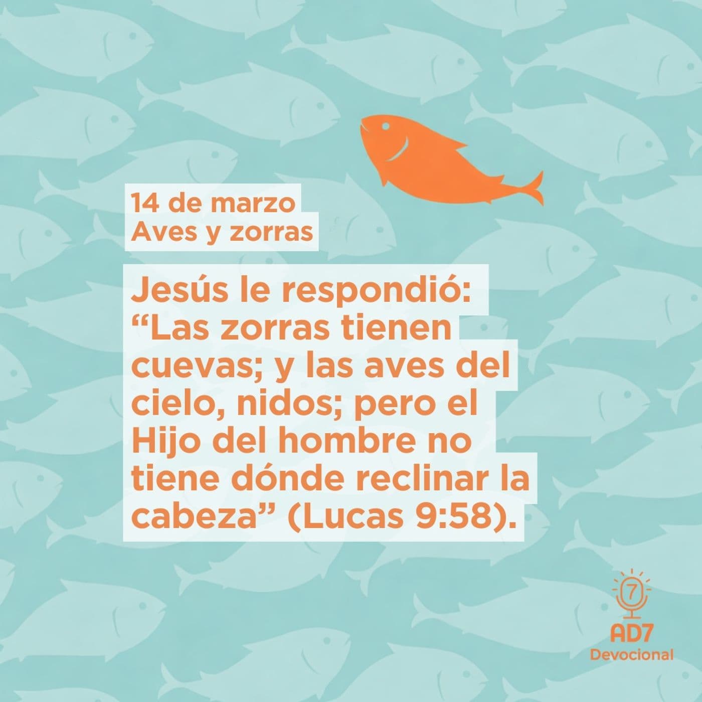 Aves y zorras ~ Devocional de Jóvenes ~ 14 de marzo 2026 - AD7 Devocional - Diferente / Inverso cover