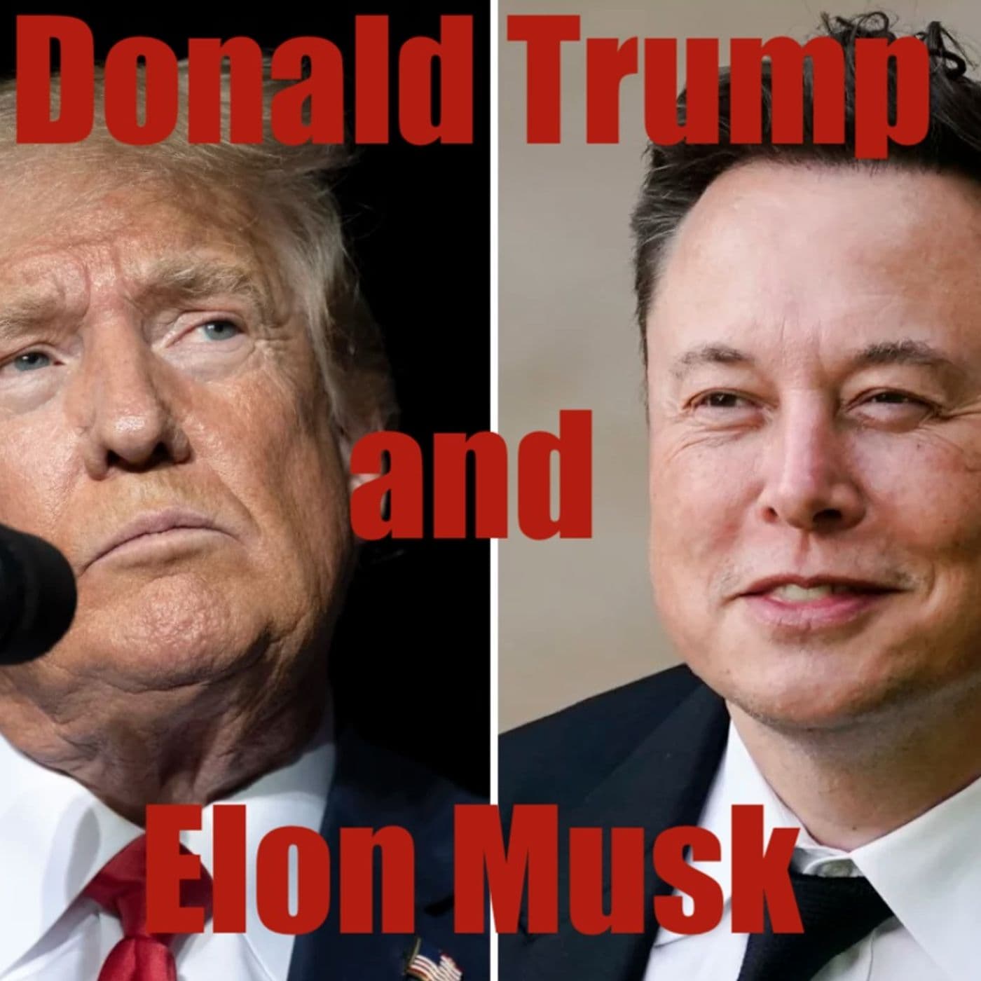 The Evolving Relationship of Trump and Musk - Trump and Musk - A Complex Dance cover