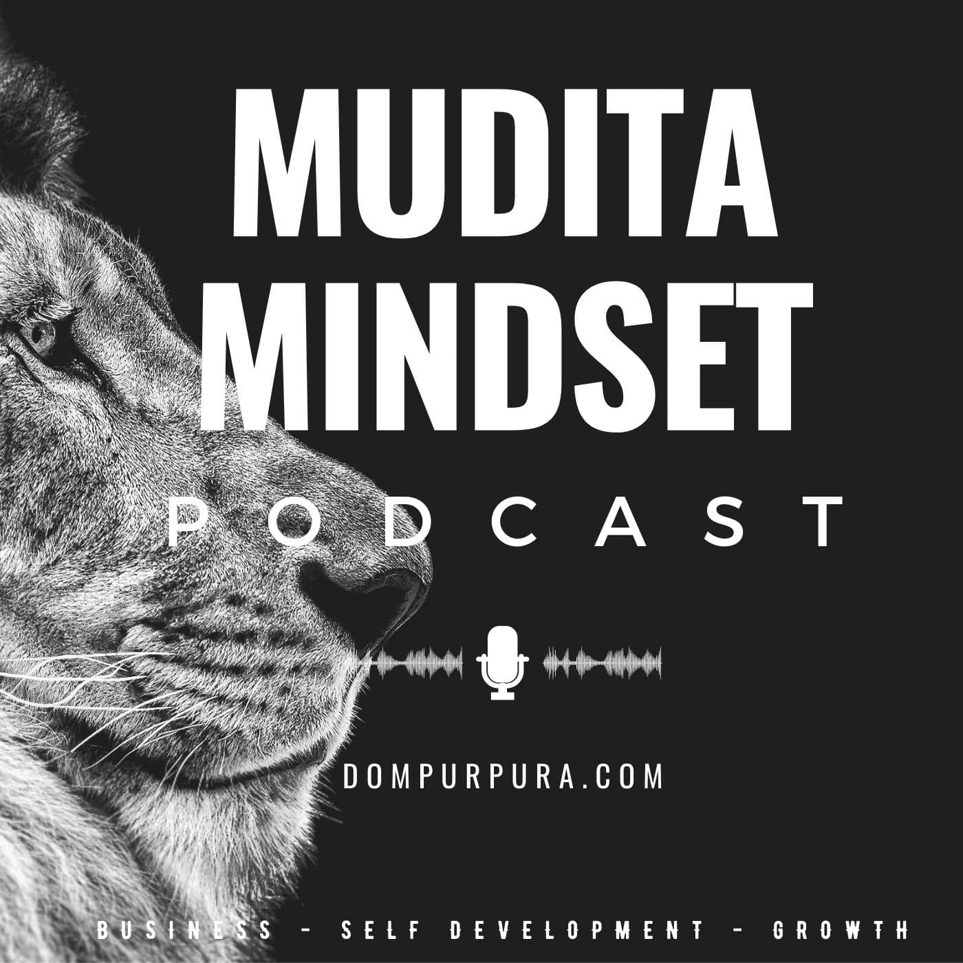 From Prison To Multi Million Dollar Businesses Ft. Jeff Ane - Mudita Mindset Podcast cover
