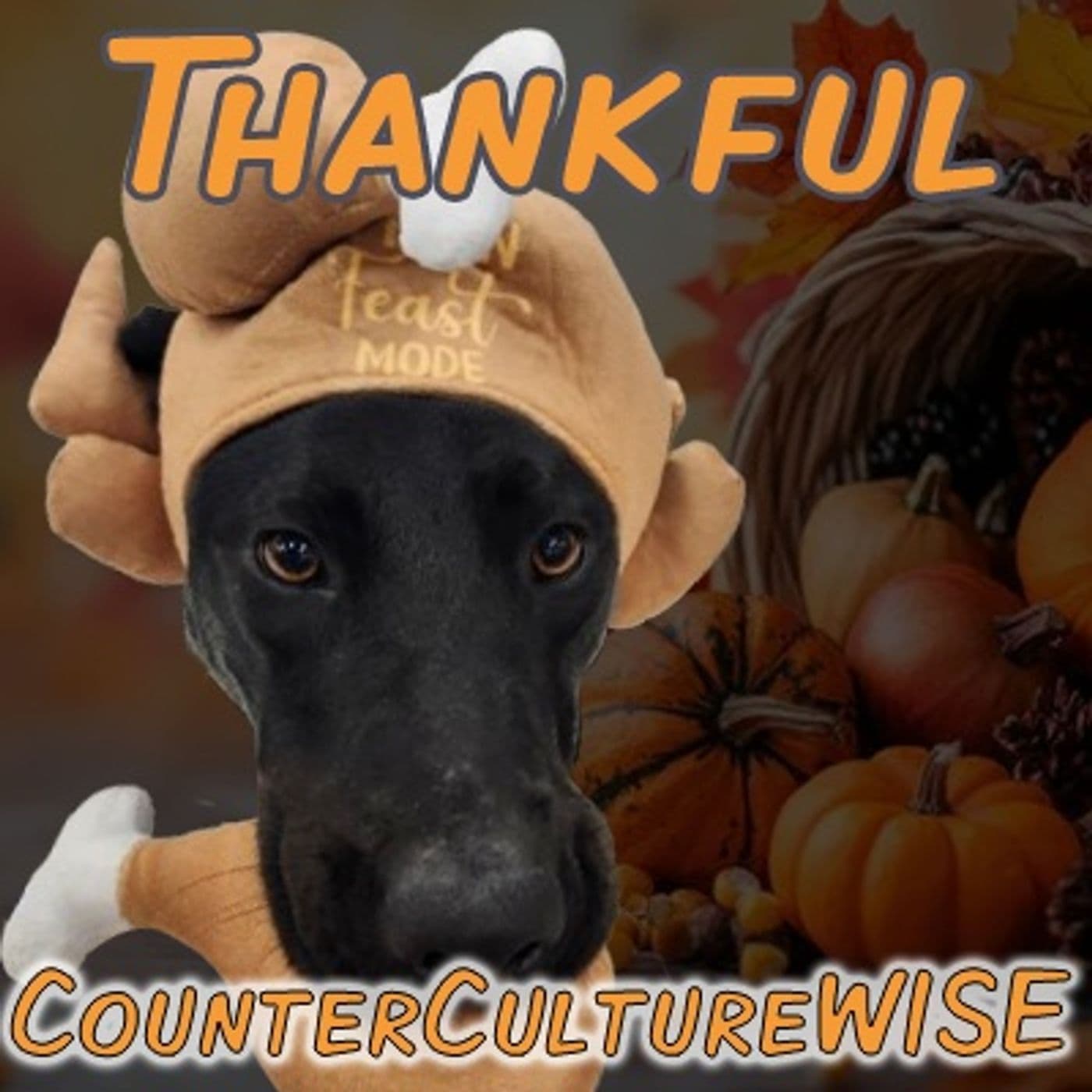 Thankful - CounterCultureWISE cover