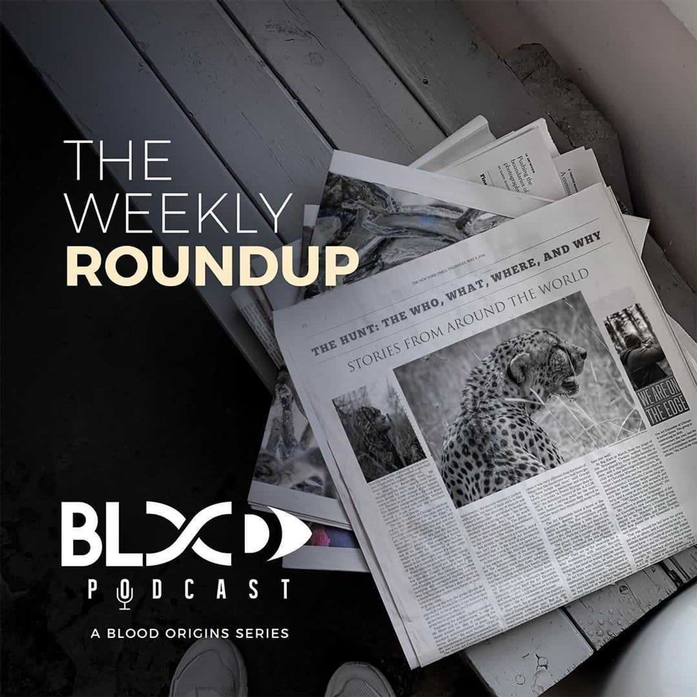 Episode 334 - Roundup 89 || Block Management, How To Collar A Python, Colorado Madness and More! - Blood Origins cover