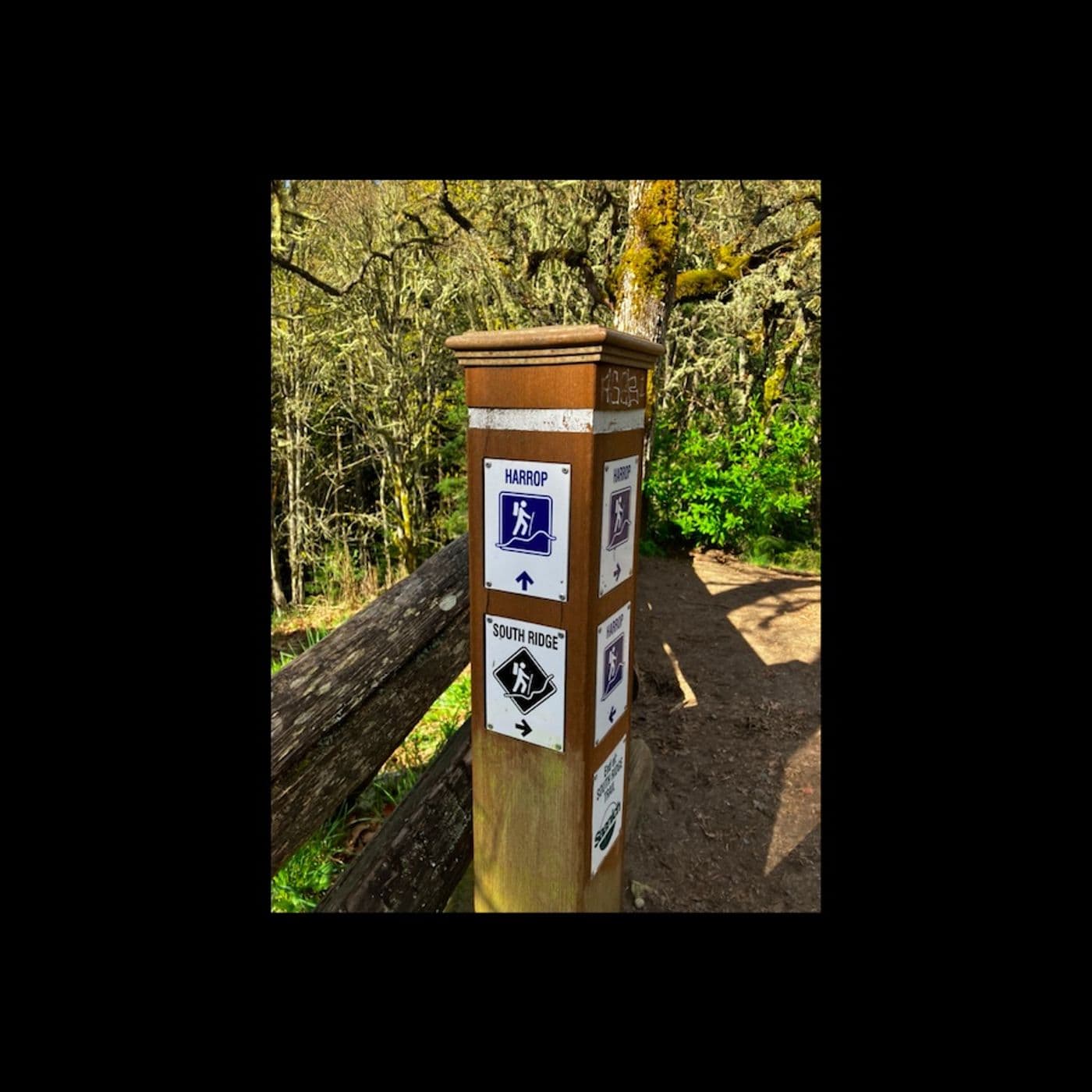 Harrop & the South Ridge trail - The Running Jackal cover