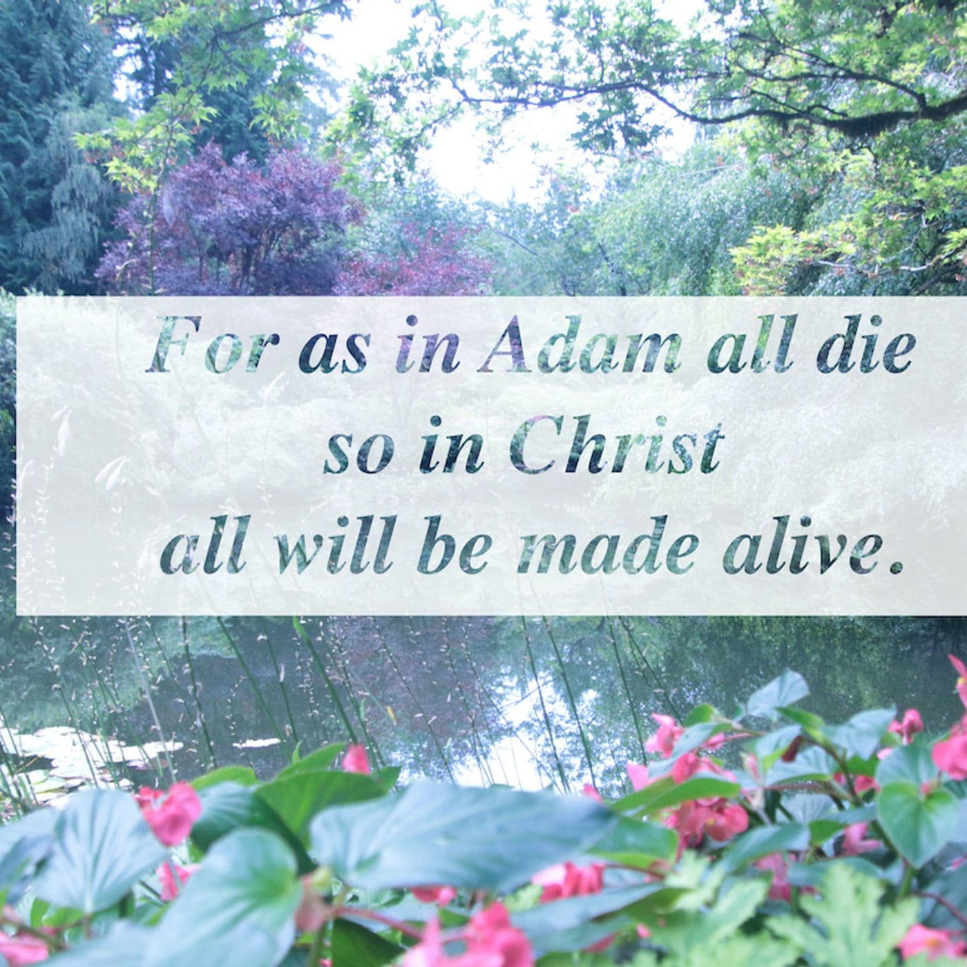For as in Adam all die, so in Christ all will be made alive. - Faith Love Trust cover