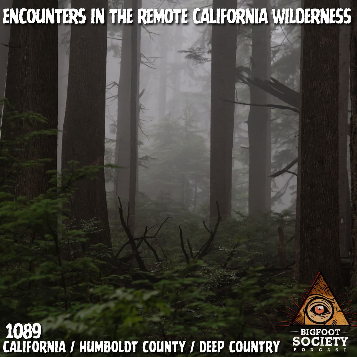 He Lived 25 Years in Bigfoot Territory… Then It Came Into His House! — Bigfoot Society cover