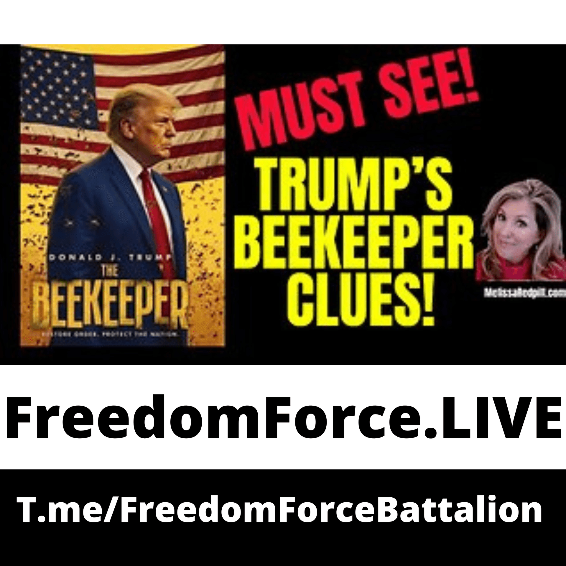 Beekeeper Clues! 5.5.26 — Freedom Force Battalion cover