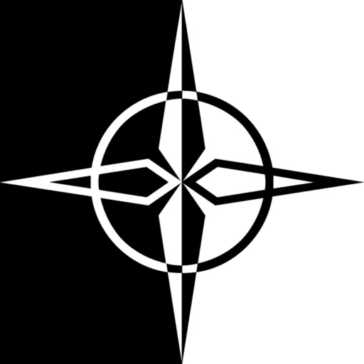 06 Roles - Life Expectancy - Sisters Surviving & Thriving cover