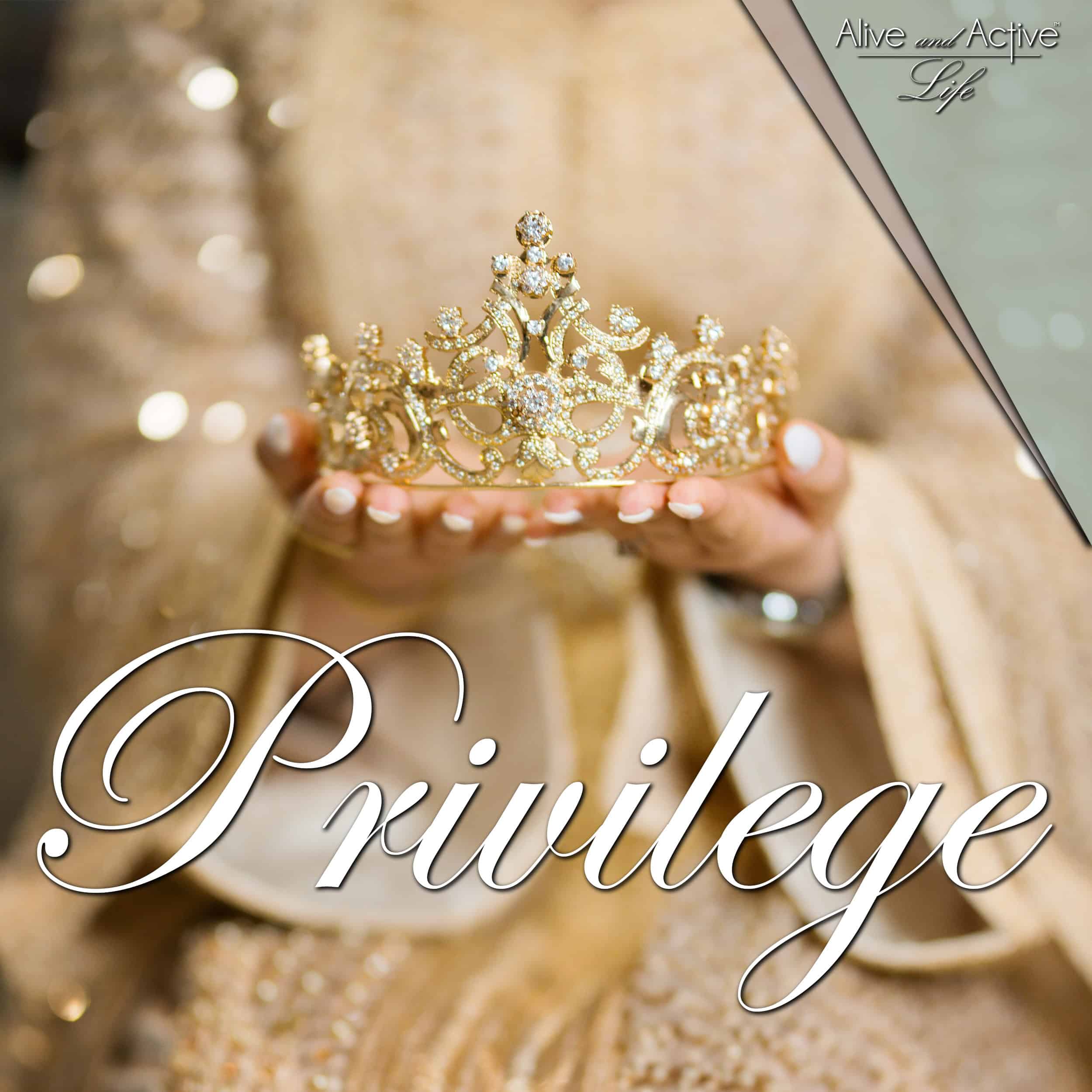 Privilege - Alive and Active Life cover