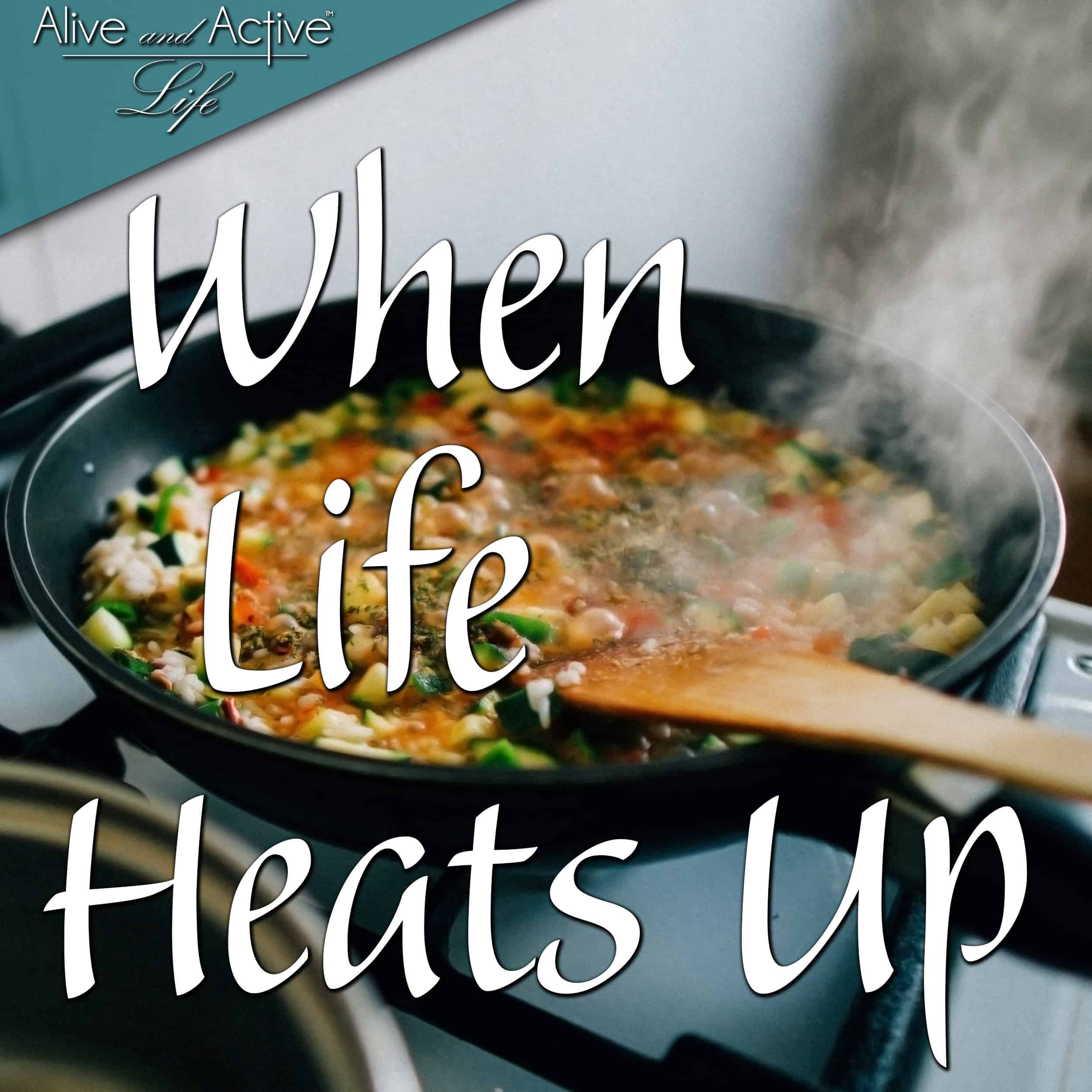 When Life Heats Up - Alive and Active Life cover