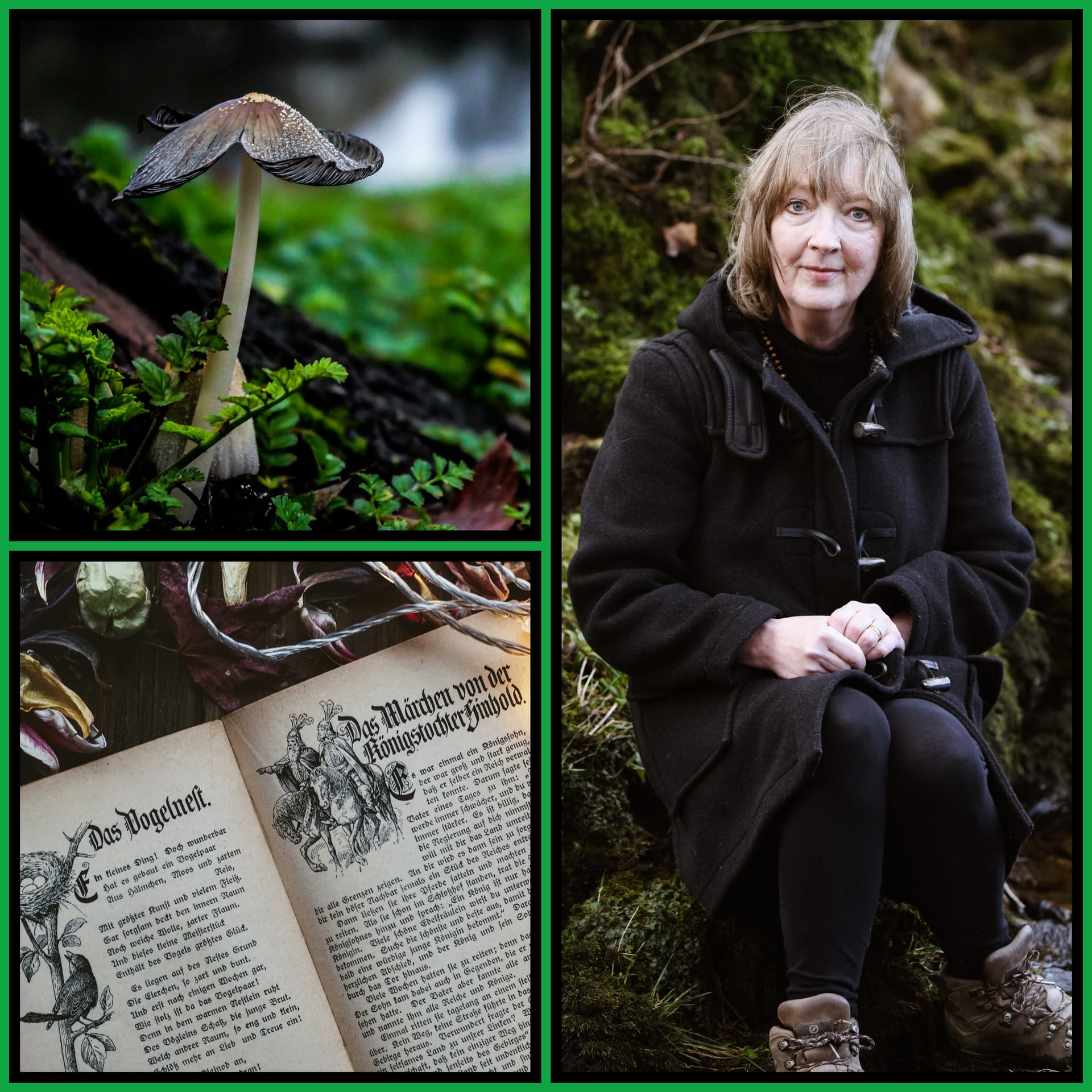 Why We Need Fairy Tales Now — with Sharon Blackie — Wonder Cabinet cover