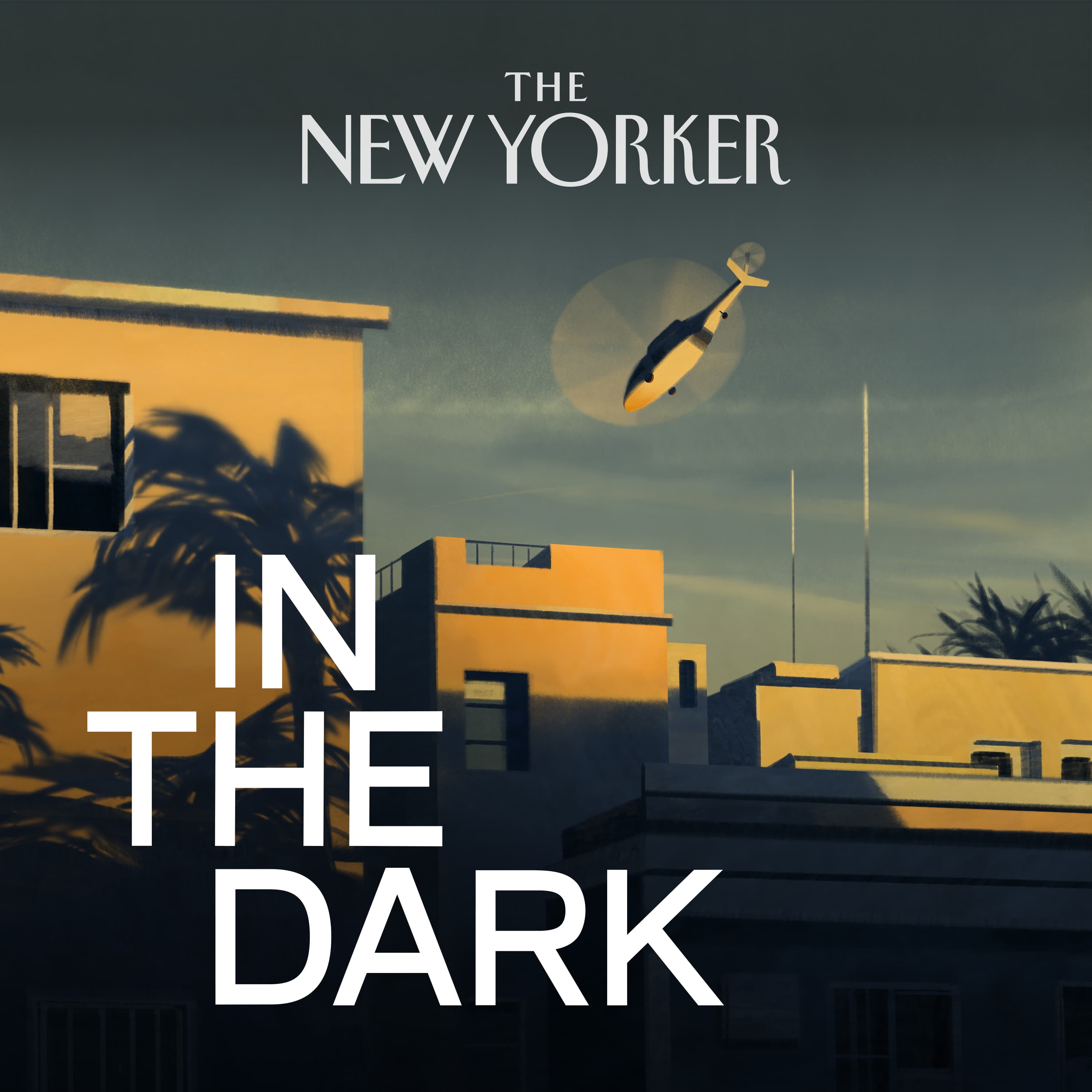 Episode 9: Patient #8 - In The Dark cover