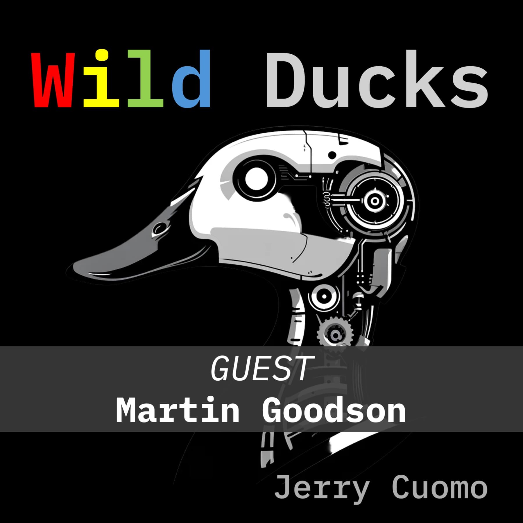 AI-Powered Document Understanding - Wild Ducks cover