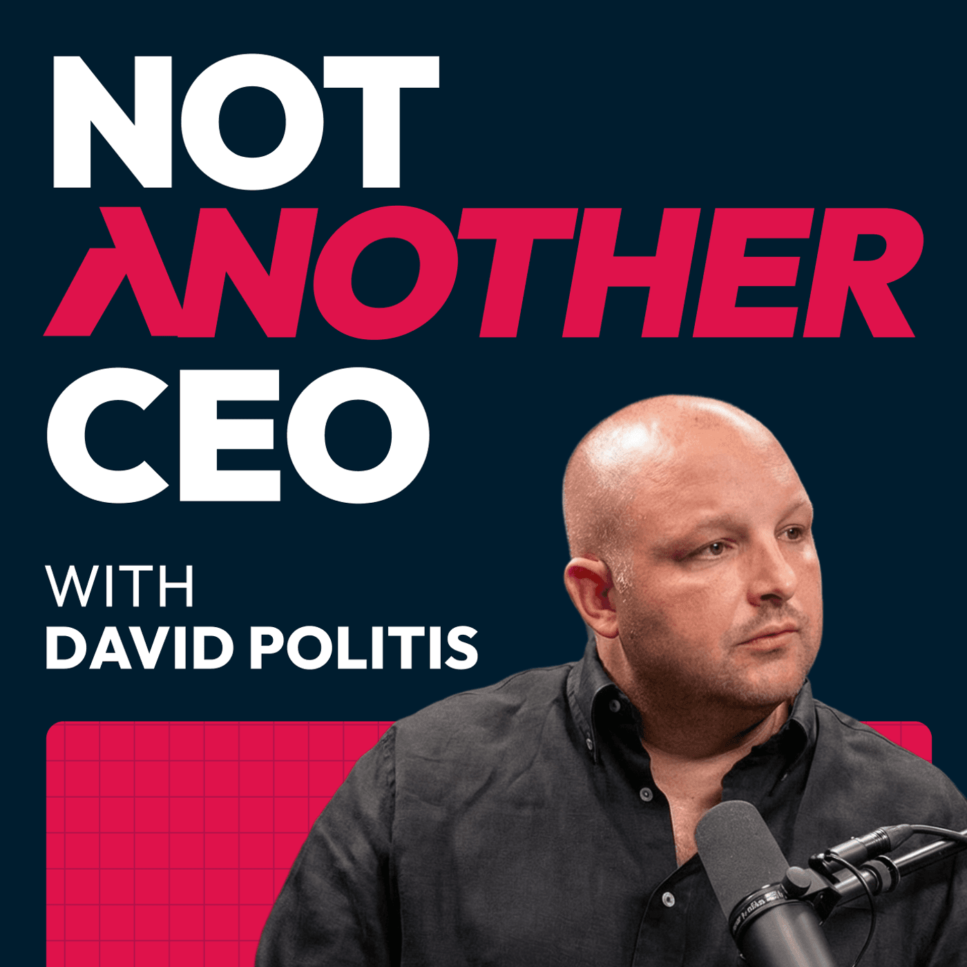 Not Another CEO Podcast cover