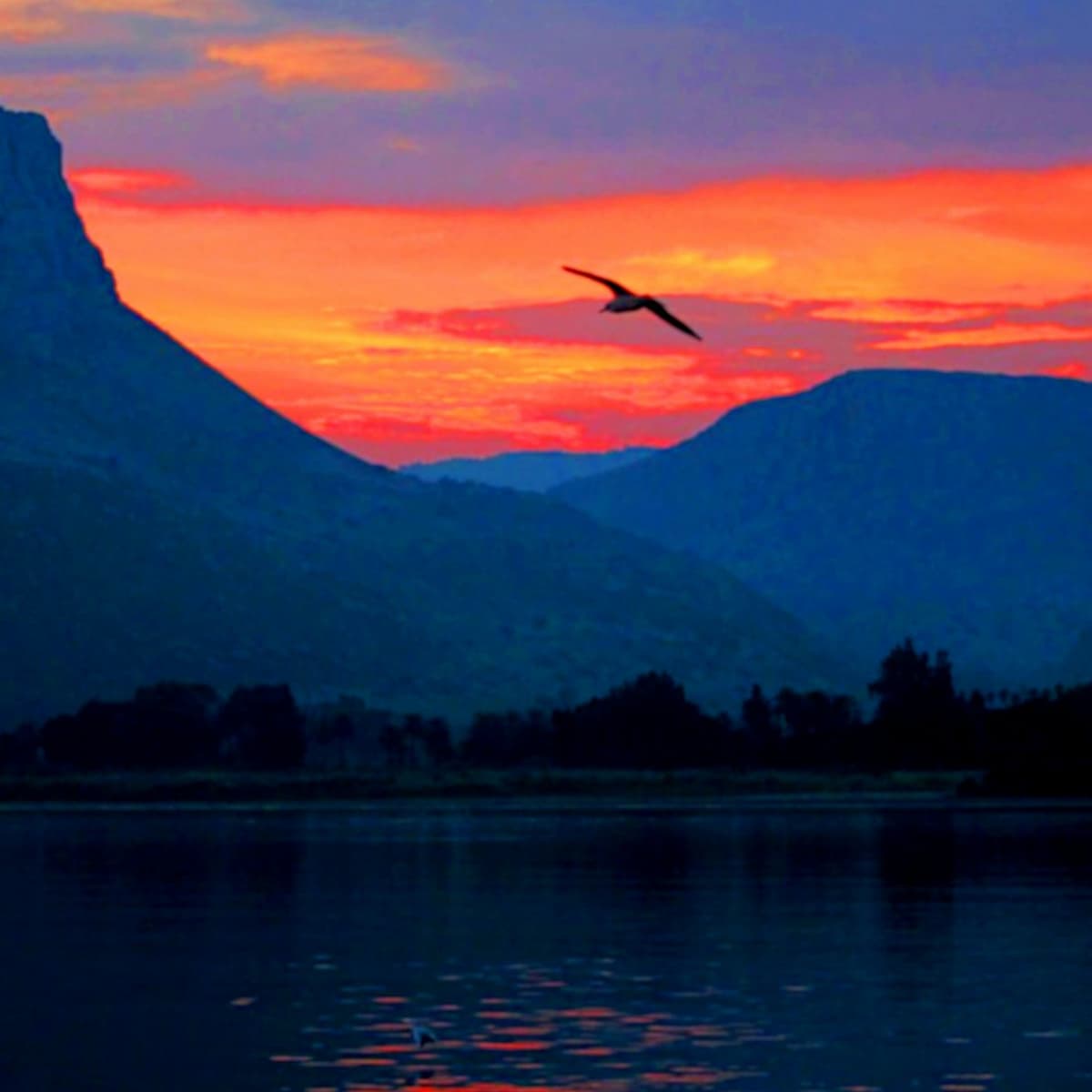 What is the Anti-Christ? - Pragmatic Faith cover