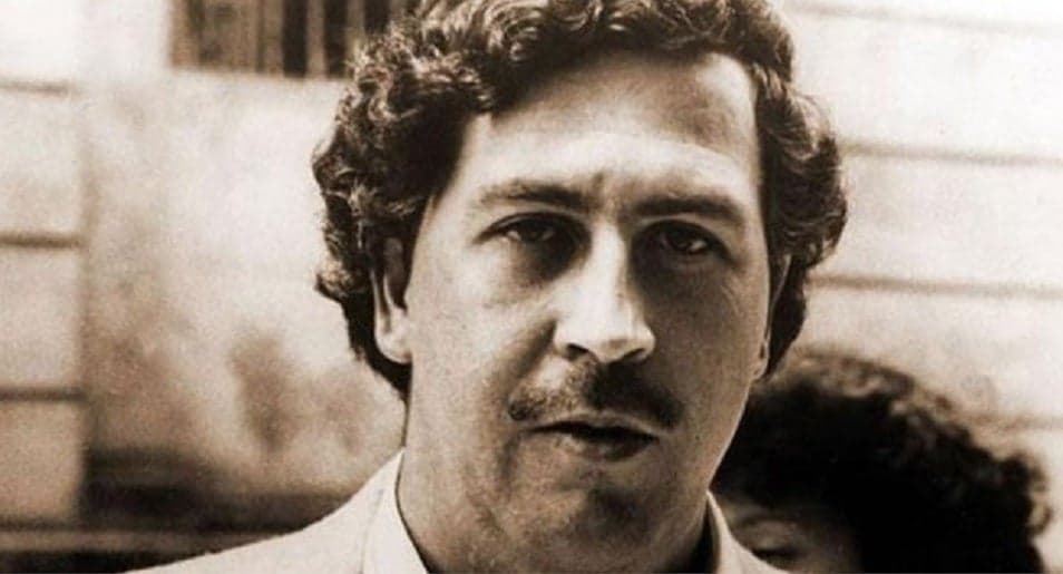 La hora rándom: ¿Qué ha pasado con los hipopótamos de Pablo Escobar? - Julia en la onda cover