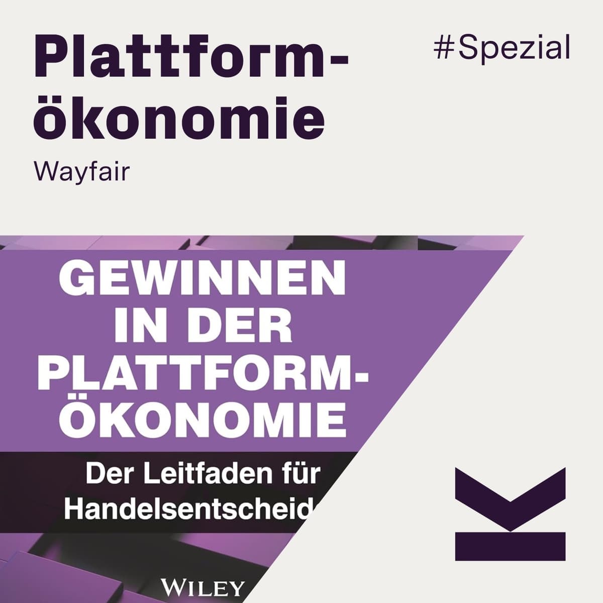 #Spezial: Wayfair will keine Plattform werden und schreibt weiter Verluste - Kassenzone | CEO Interviews cover